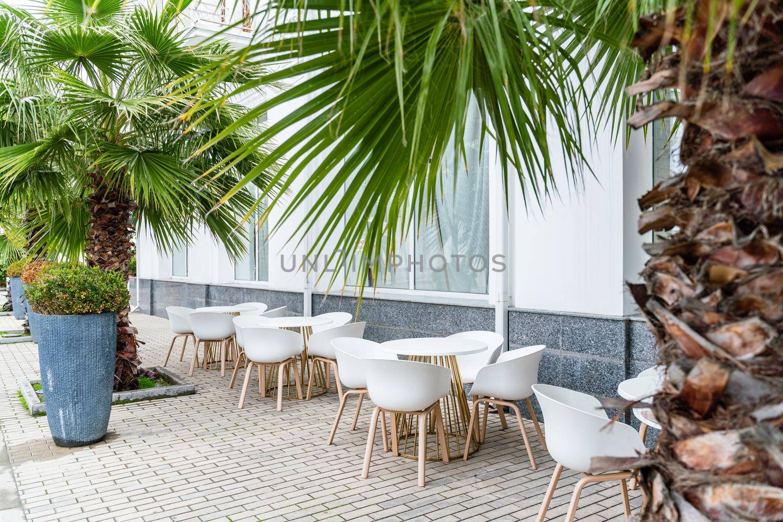 Street cafe with white chairs, green foliage around. Without people, tourism, travel. by Matiunina