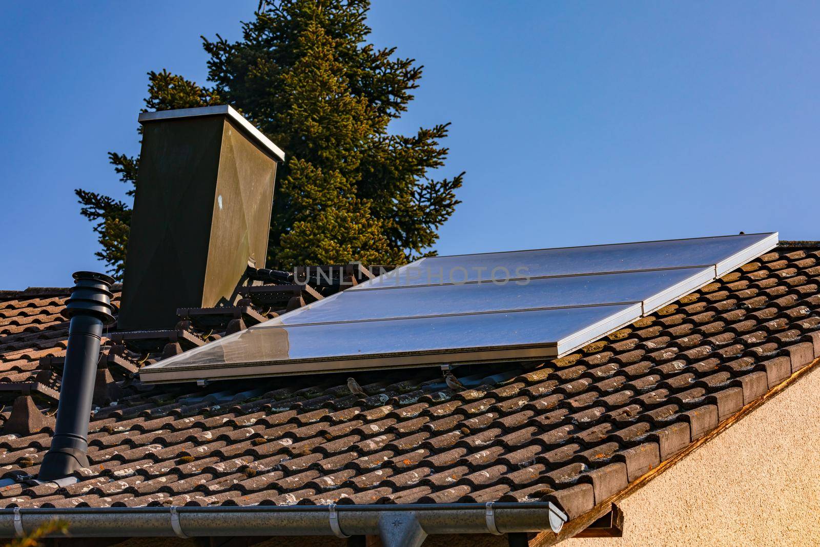 Solar collectors on the roof of a house transform radiation into hot water