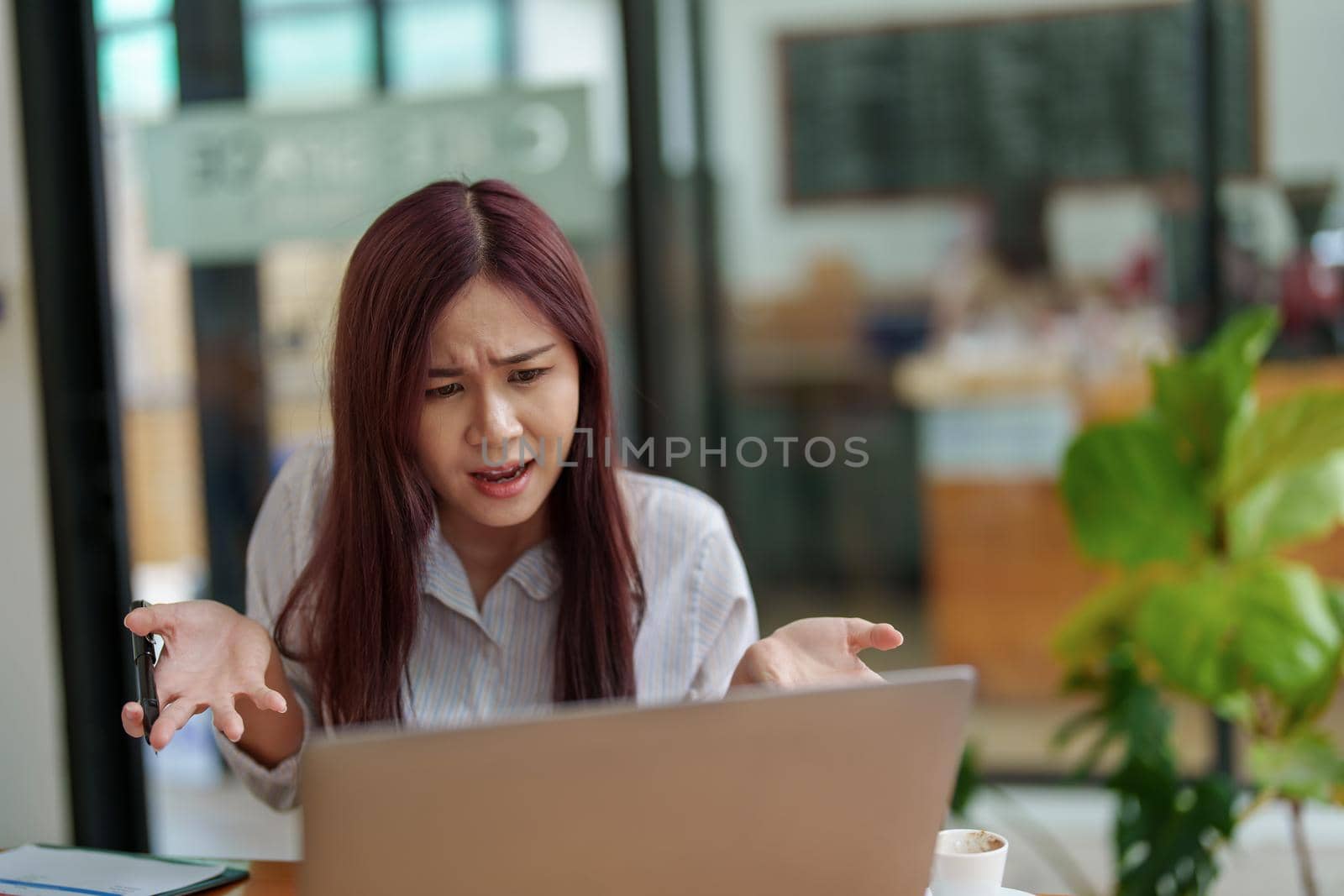 Portrait of an Asian female employee using a computer to confer with a business partner with a serious expression on solution negotiations, marketing planning and budget management.