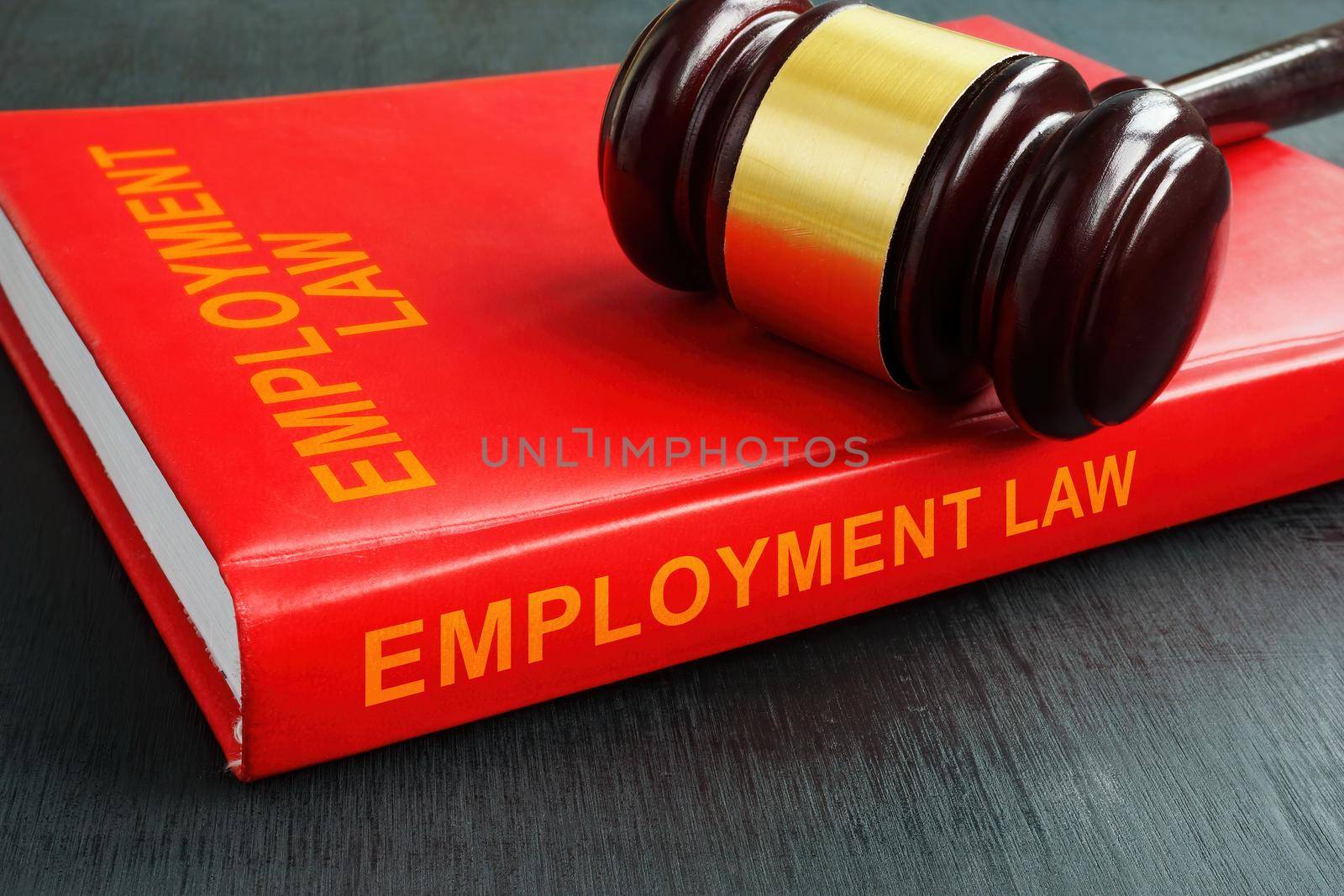 Book employment law and the gavel on it.