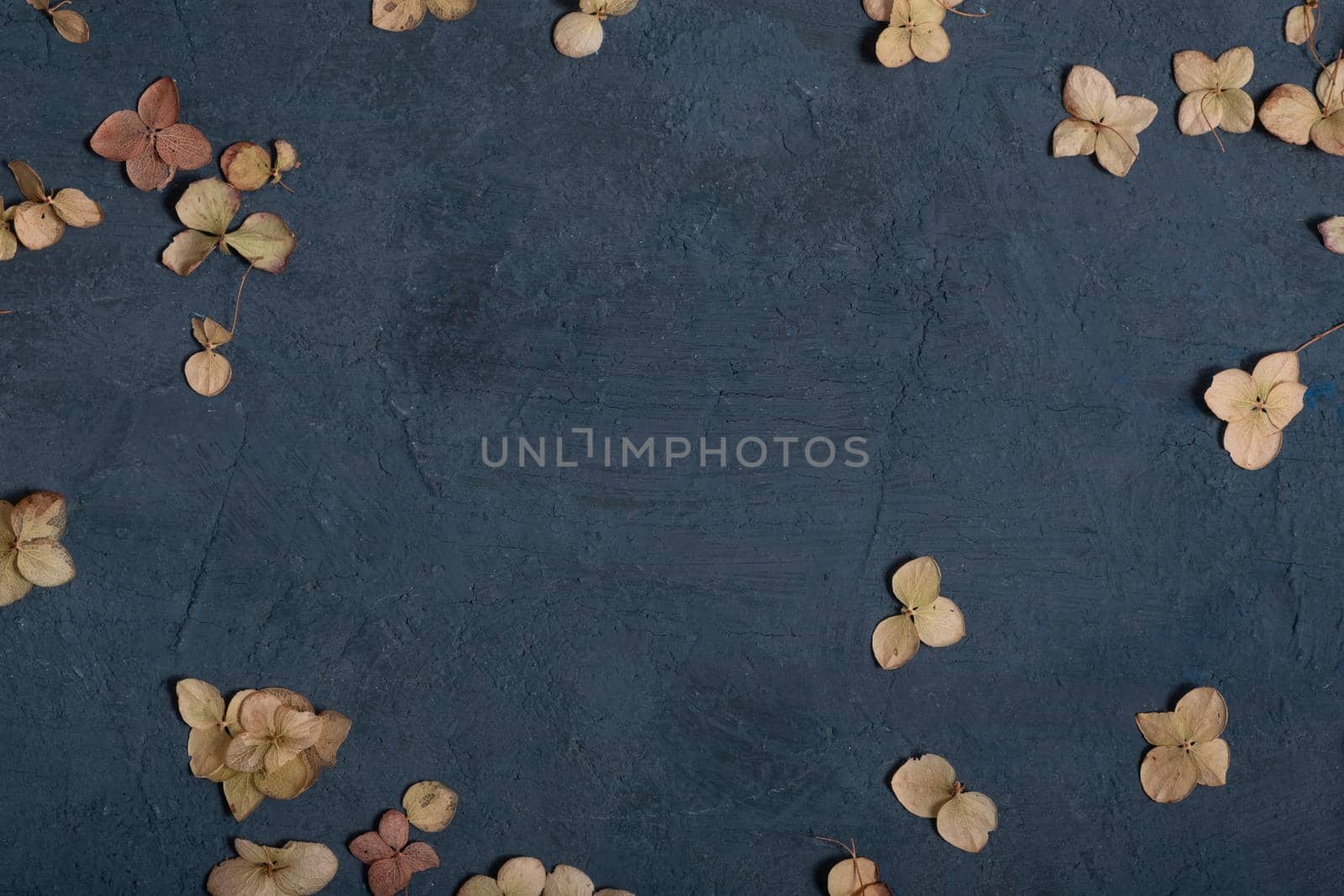 Dried golden autumn or winter leaves on dark textured concrete background with copy space by ssvimaliss