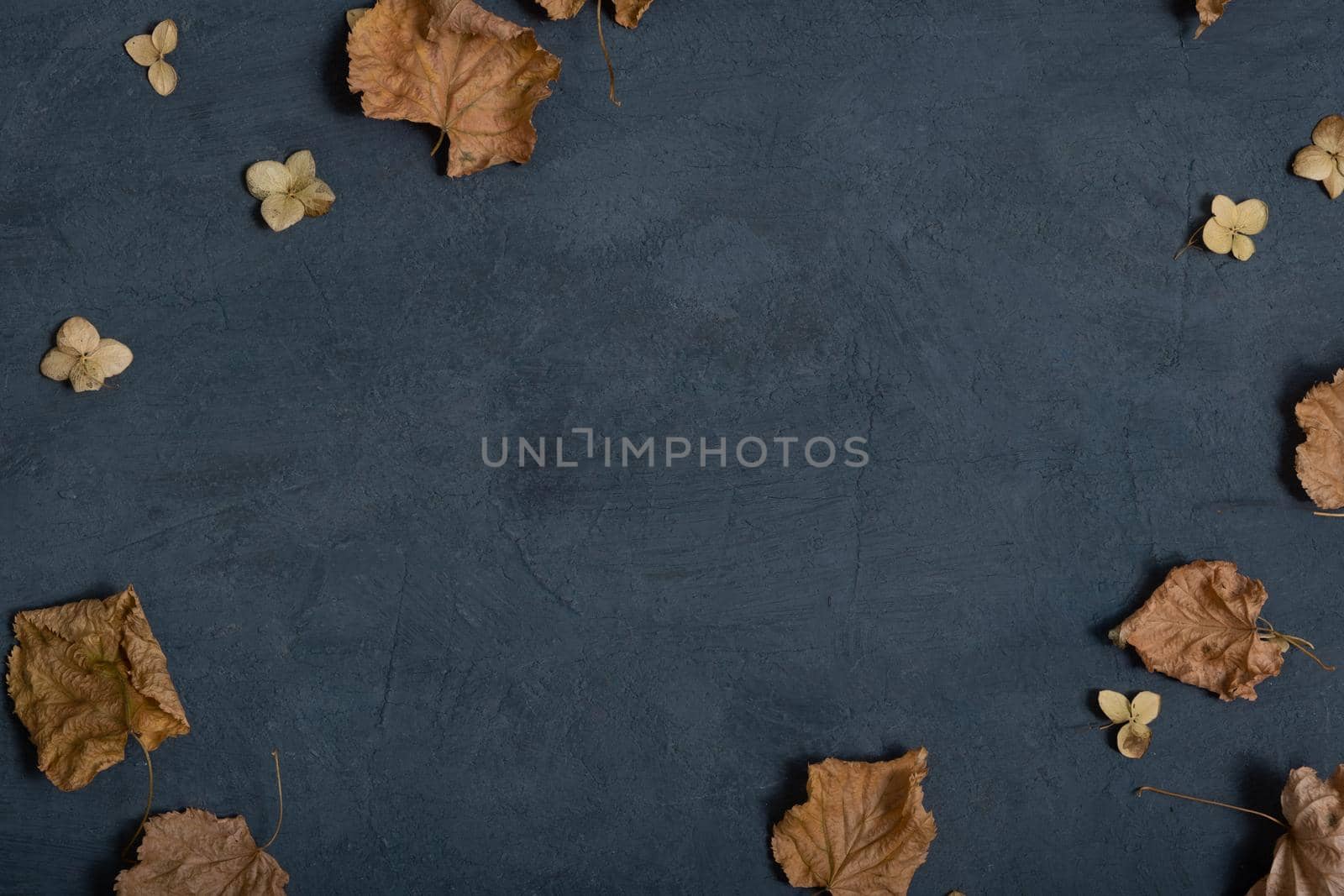 Dried autumn or winter leaves on dark textured concrete background with copy space by ssvimaliss