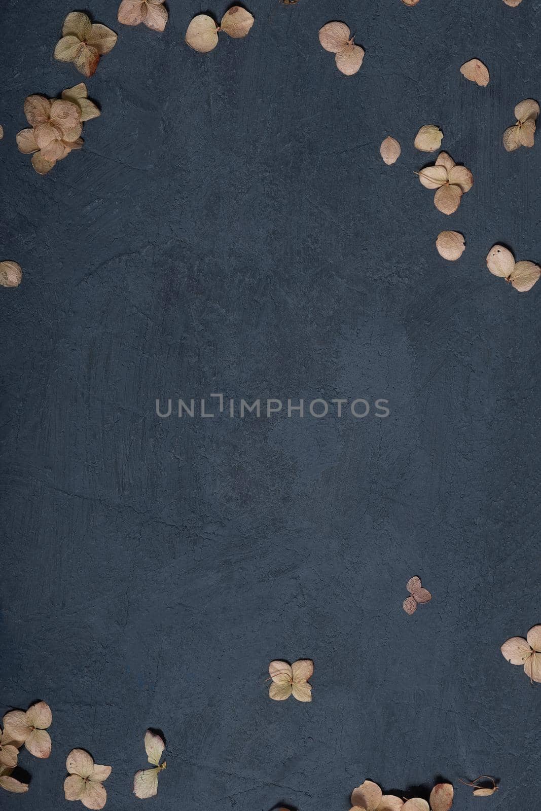 Dried autumn or winter leaves on dark textured concrete background with copy space. High quality vertical photo