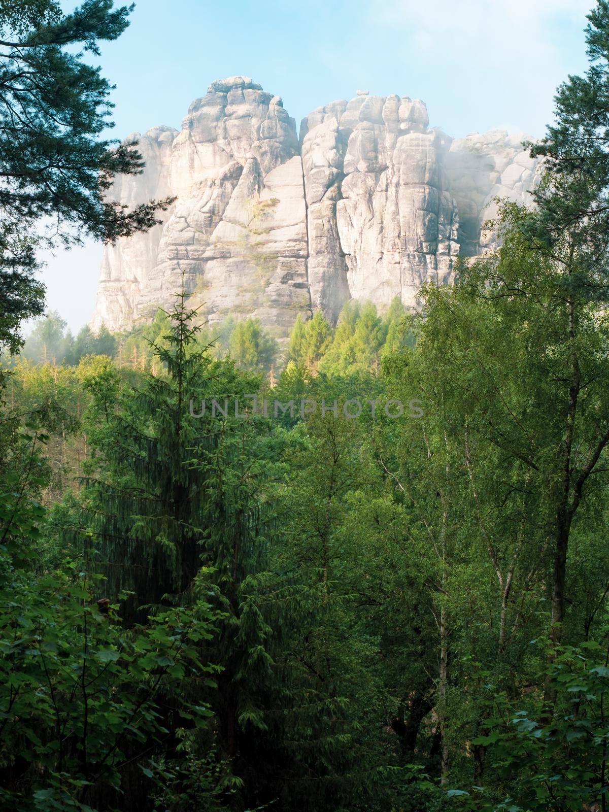 Falkenstein sandstone rock at the Schrammsteinen massive. Saxon Switzerland National Park in the German Free State of Saxony, near the Saxon city Dresden part of the Elbe Sandstone Mountains.