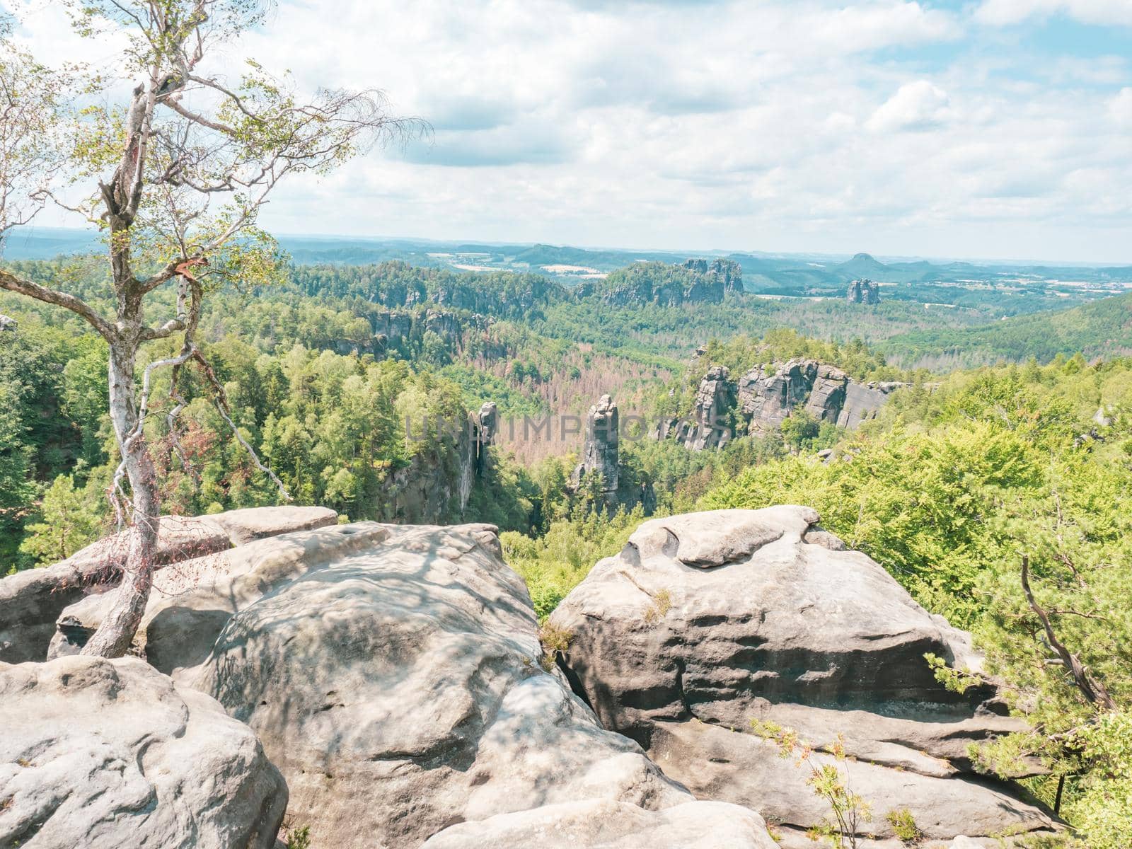 View from Carolafelsen towards Schrammsteine sandstone massif,  in Saxon Switzerland, Deutschland