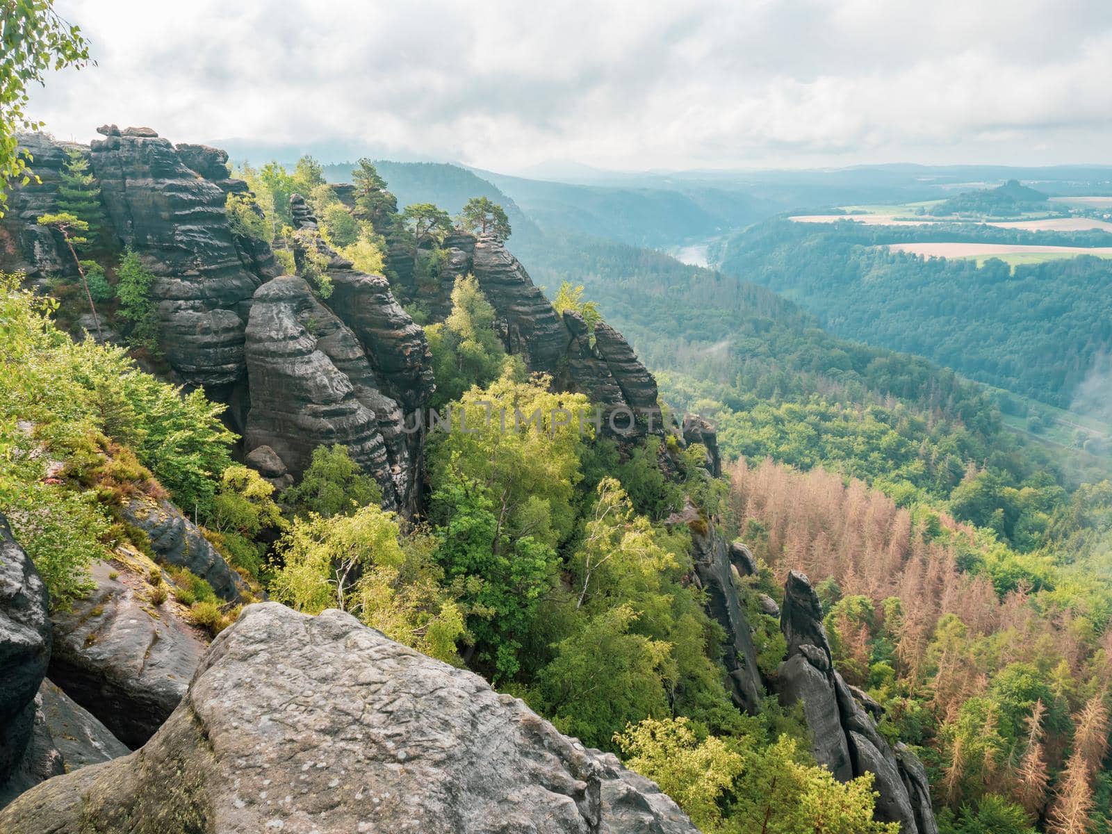 View of beautiful rocky park from the top of the Schrammsteine rocks vantage point above Bad Schandau, Saxony, Germany