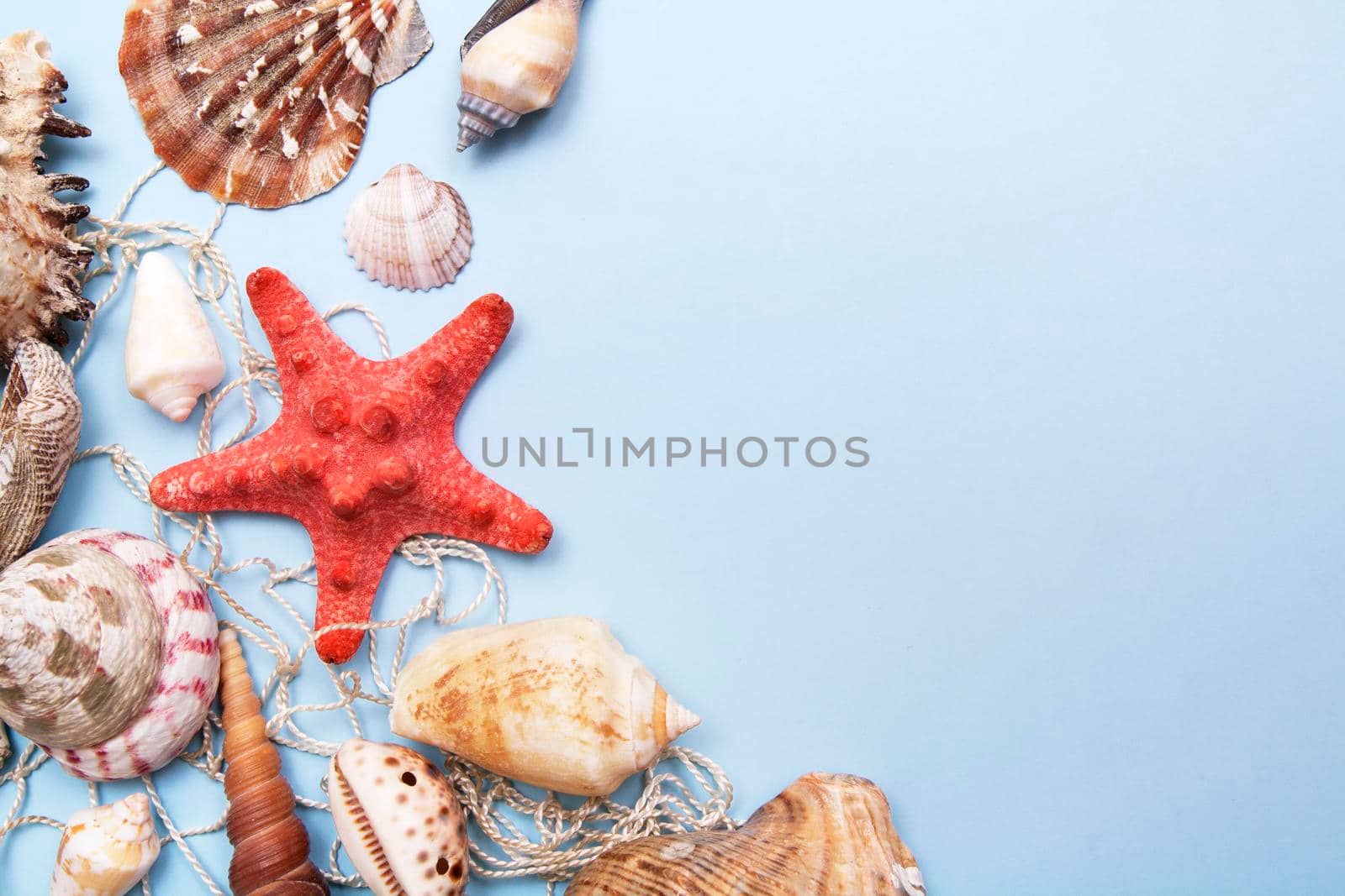 Top view of a starfish, shells on a fishing net on a blue background with a mine space. Summer, sea, vacation background by ssvimaliss