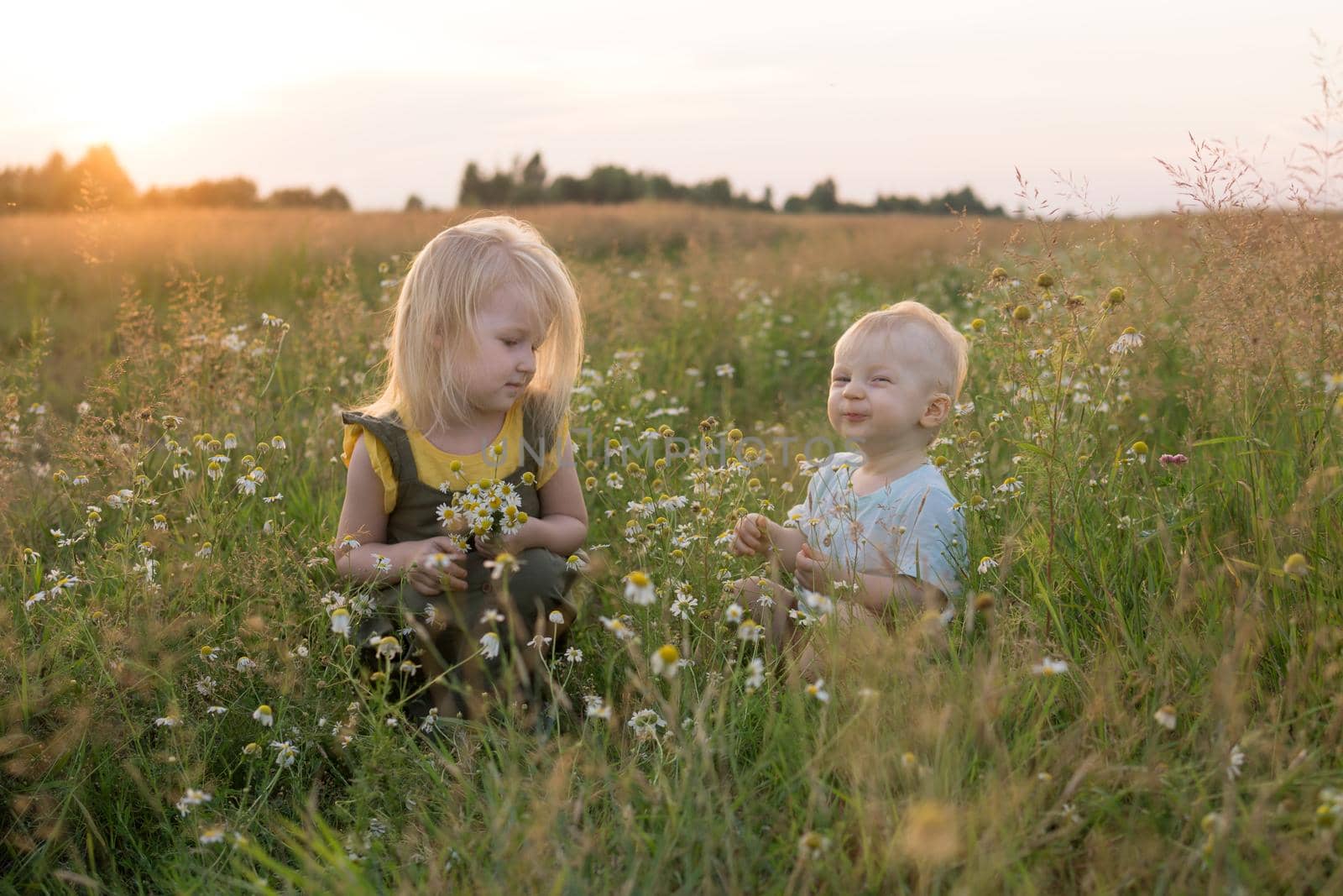 A little boy and a girl are picking flowers in a chamomile field. The concept of walking in nature, freedom and a healthy lifestyle.