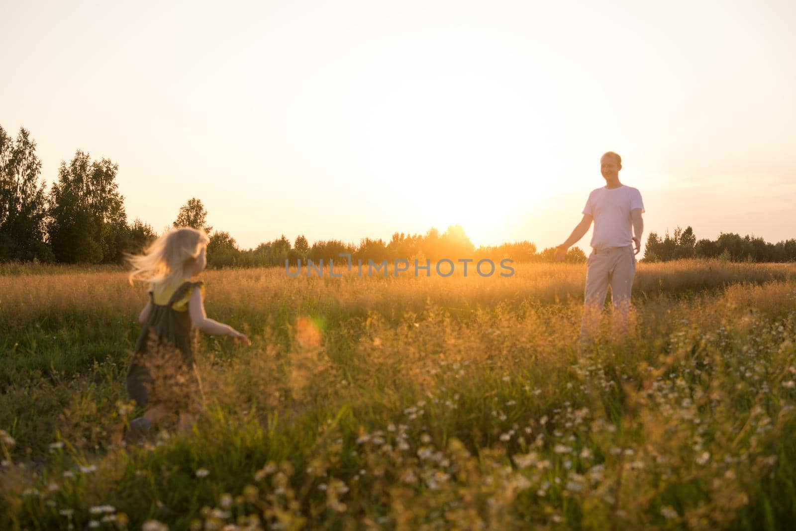 Dad and his blonde daughter are walking and having fun in a chamomile field. The concept of Father's Day, family and nature walks.