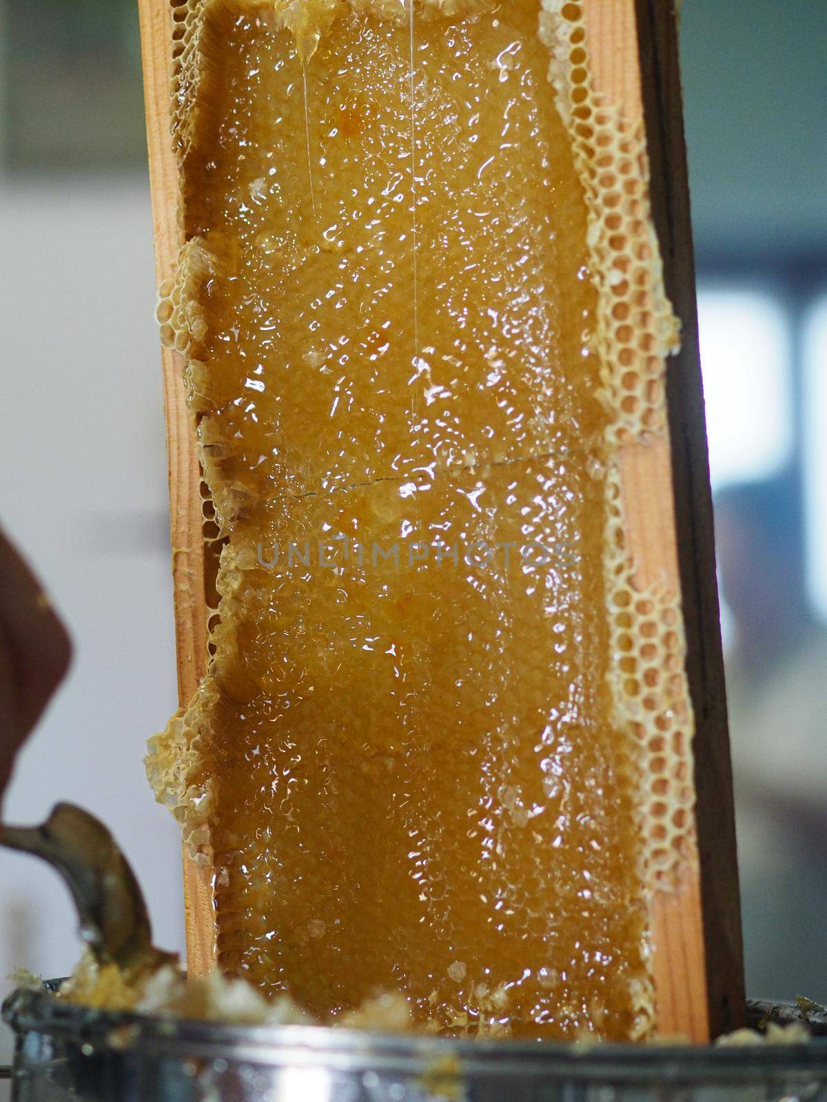 Natural raw honey being filtered ad dripped through a strainer to filter our bees wax.