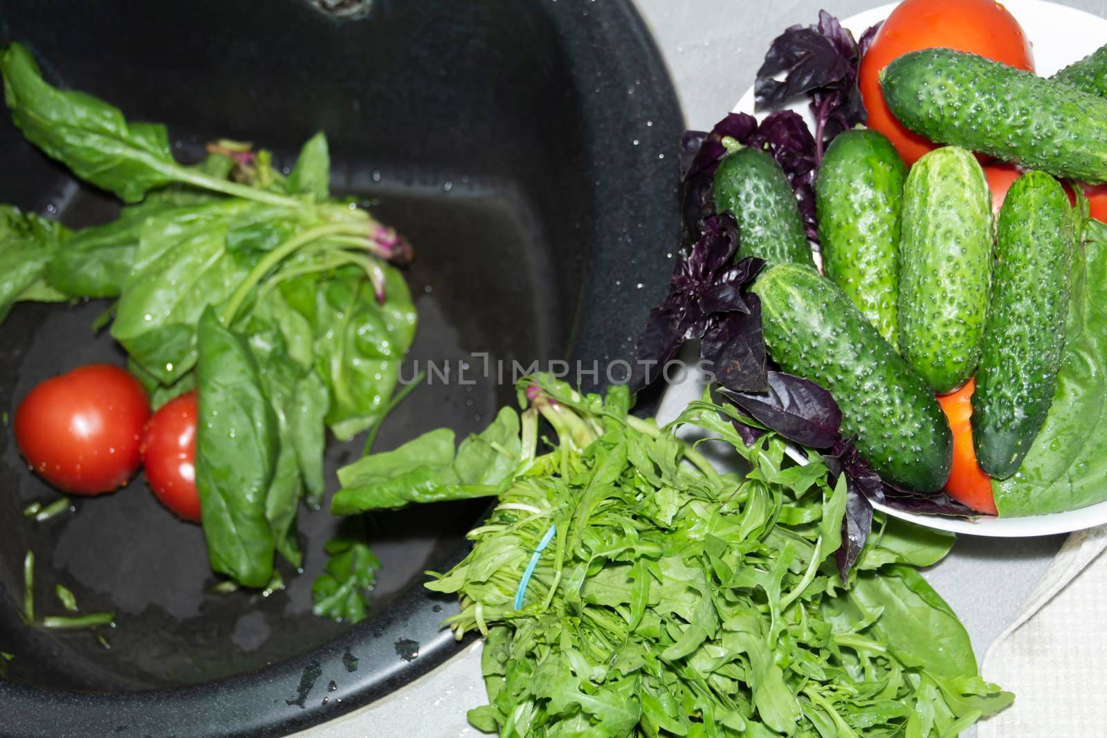 Spinach, arugula, cucumbers, tomatoes, basil collected at their dacha are washed in a black sink for cooking delicious and fragrant dishes...