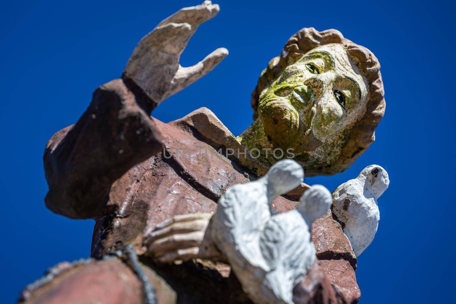 San Francisco of Assisi blessing all of us with peaceful doves at clear sky