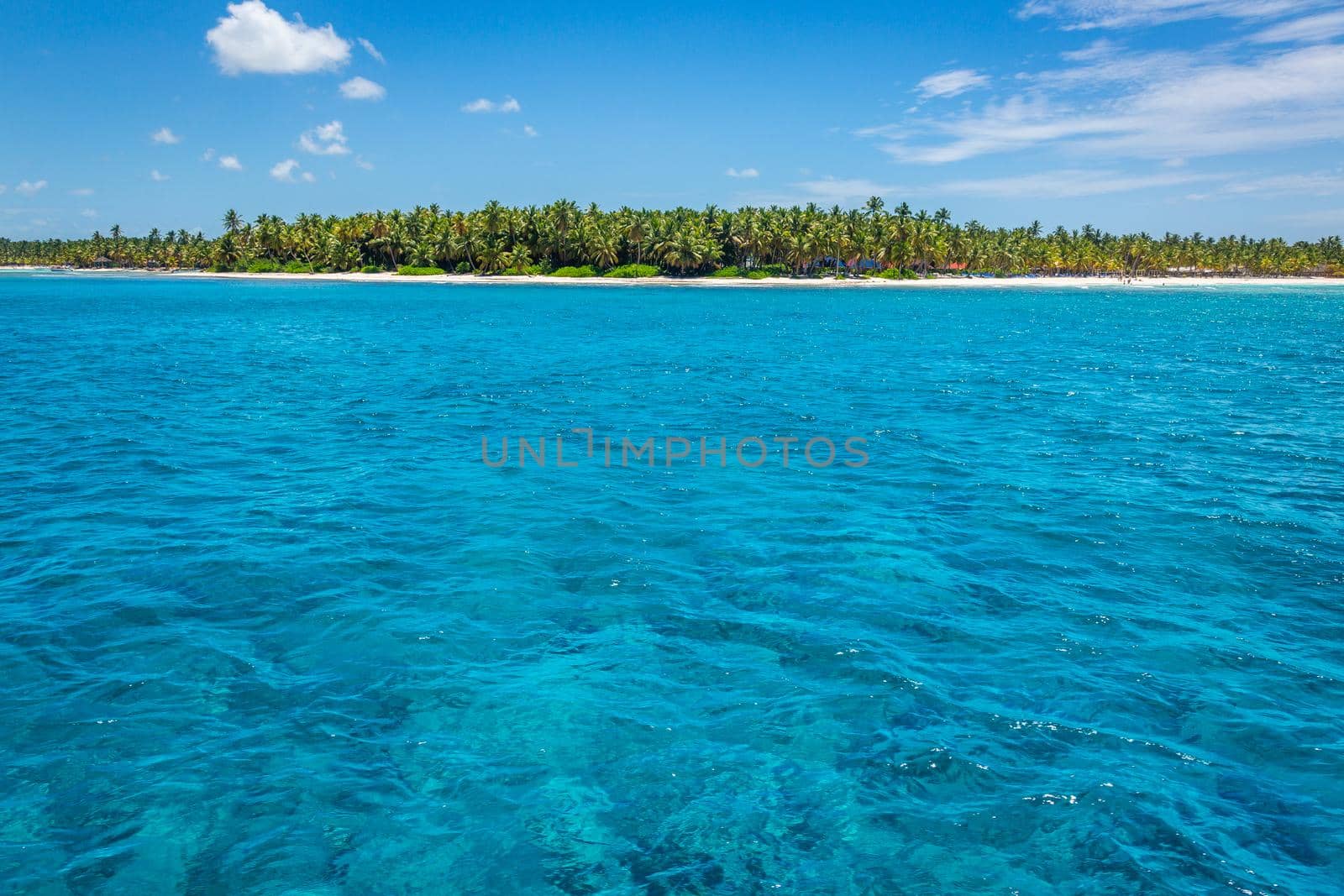 Tropical paradise: idyllic caribbean beach with palm trees, Punta Cana, Saona by positivetravelart