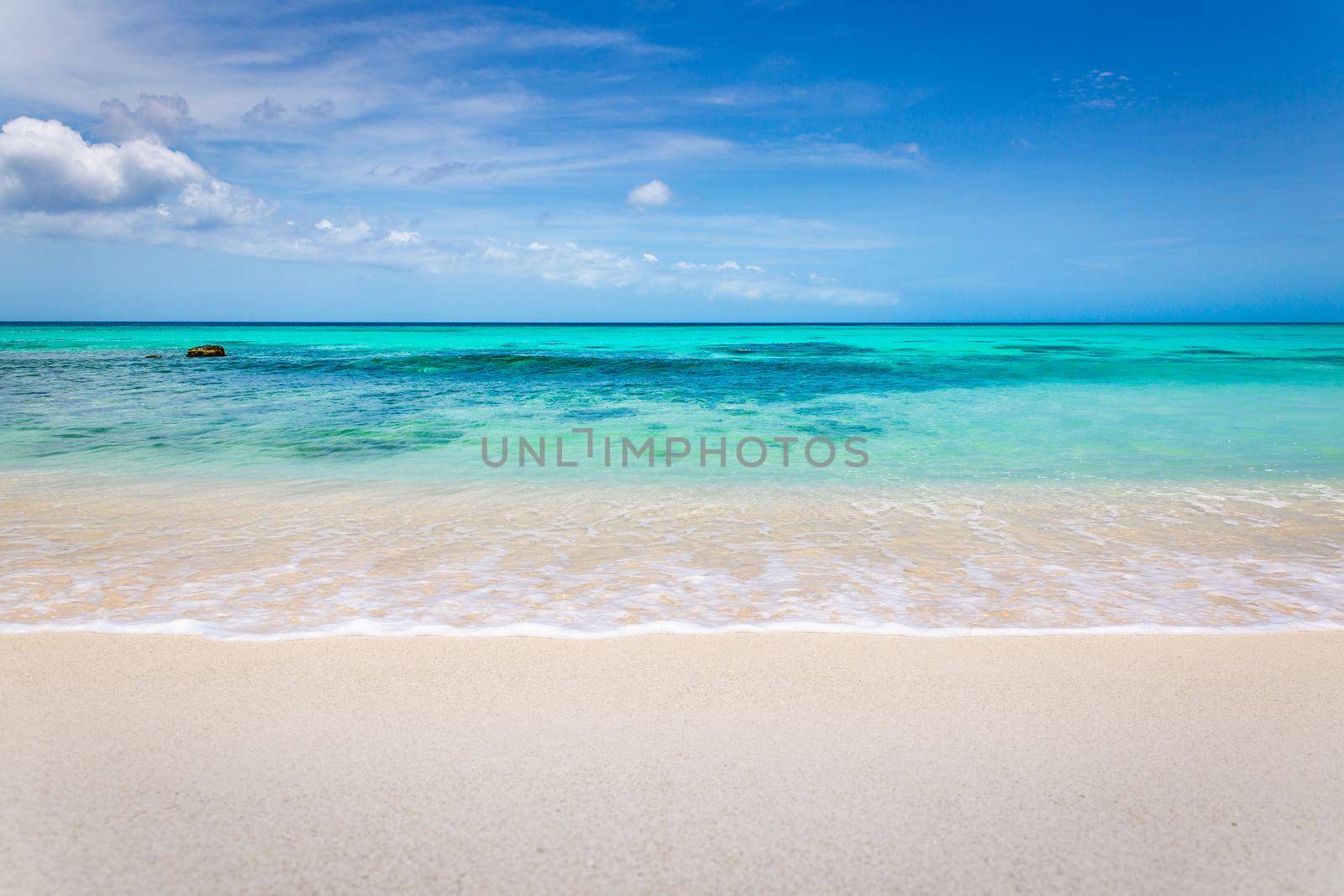 Idyllic and translucent caribbean beach at sunny day in Aruba, Dutch Antilles