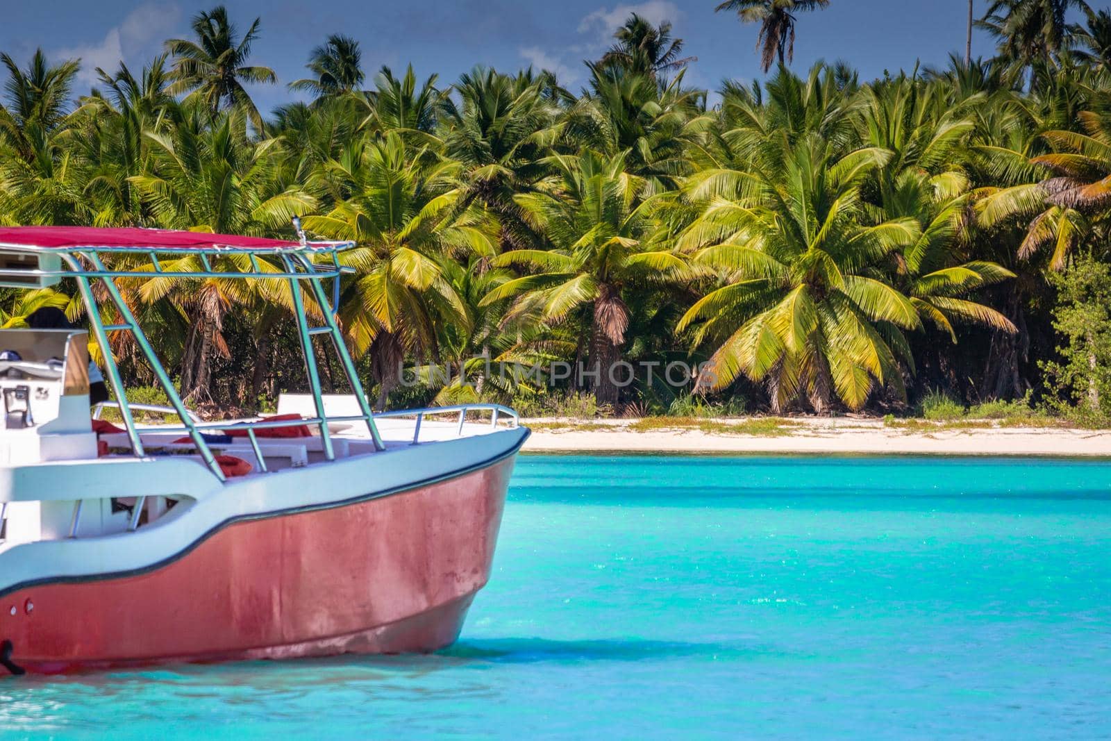 Tropical paradise: caribbean beach with single palm tree and boat, Punta Cana by positivetravelart