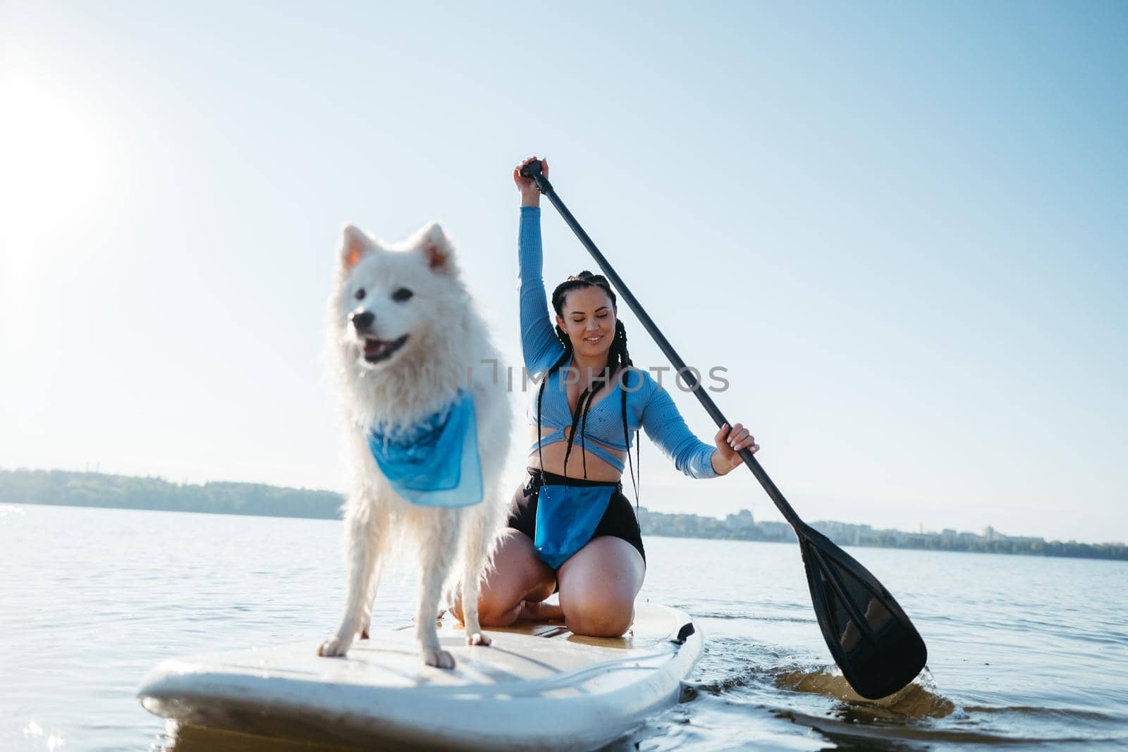 Cheerful Woman Paddleboarding with Her Pet on the City Lake, Snow-White Japanese Spitz Dog Standing on Sup Board by Romvy