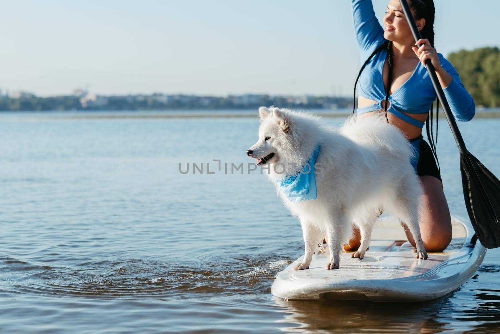 Japanese Spitz Dog Standing on Sup Board, Woman Paddleboarding with Her Pet on the City Lake by Romvy