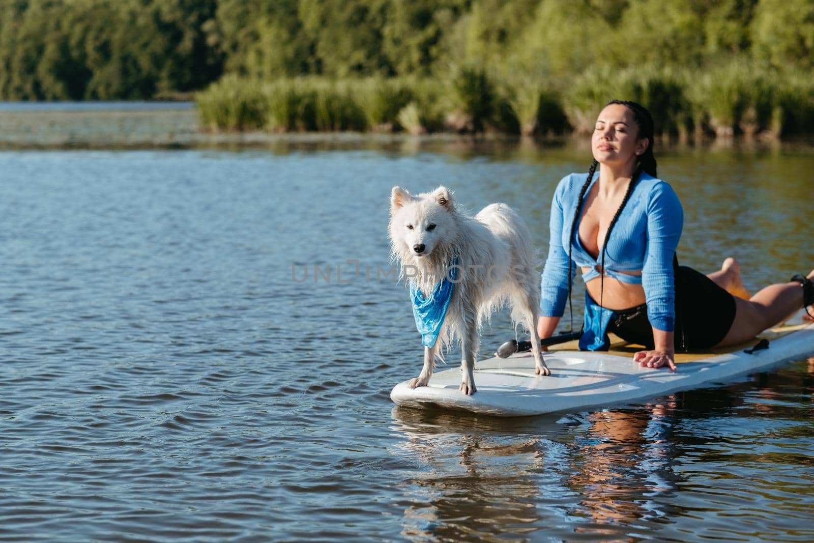 Snowy Japanese Spitz Dog Standing on Sup Board, Woman Doing Stretching While Paddleboarding with Her Pet on the City Lake by Romvy