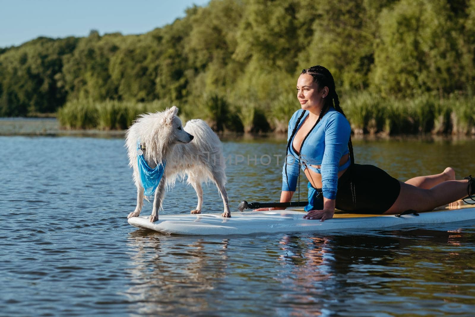 Woman Doing Stretching While Paddleboarding with Her Pet on City Lake, Snowy Japanese Spitz Dog Standing on Sup Board