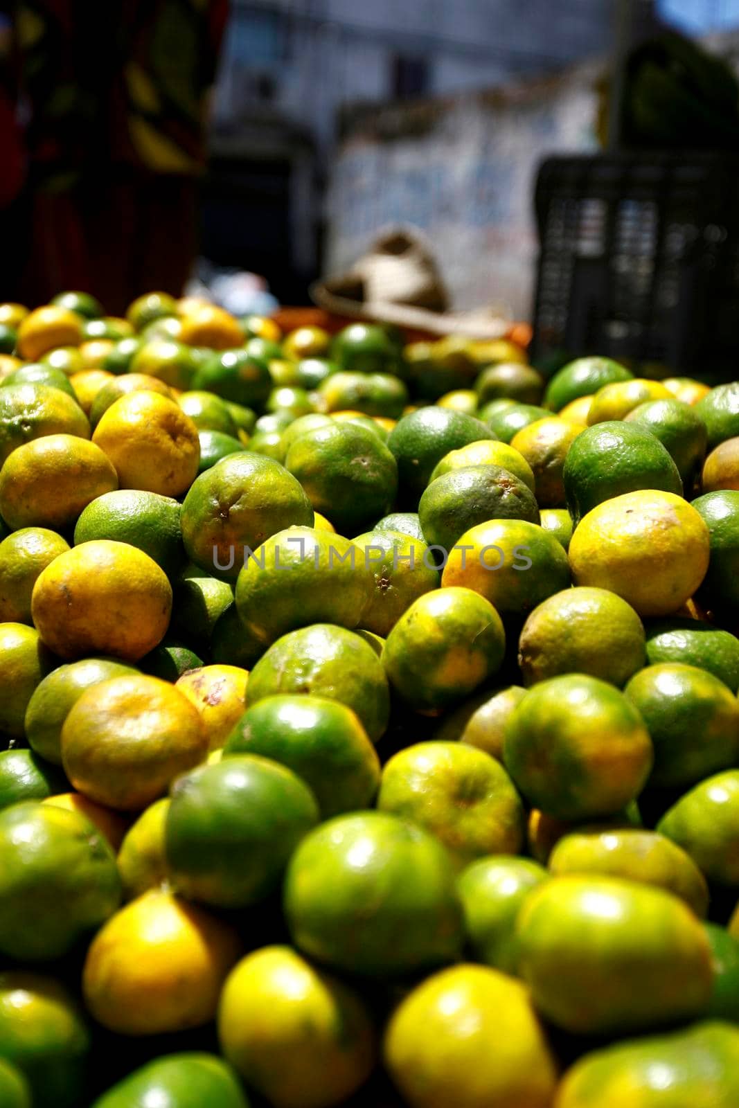 tangerine for sale in fair of salvador by joasouza