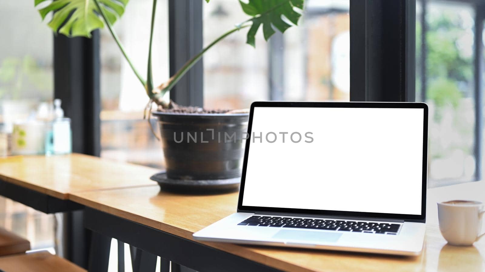 Computer laptop, coffee cup and houseplant on wooden table.