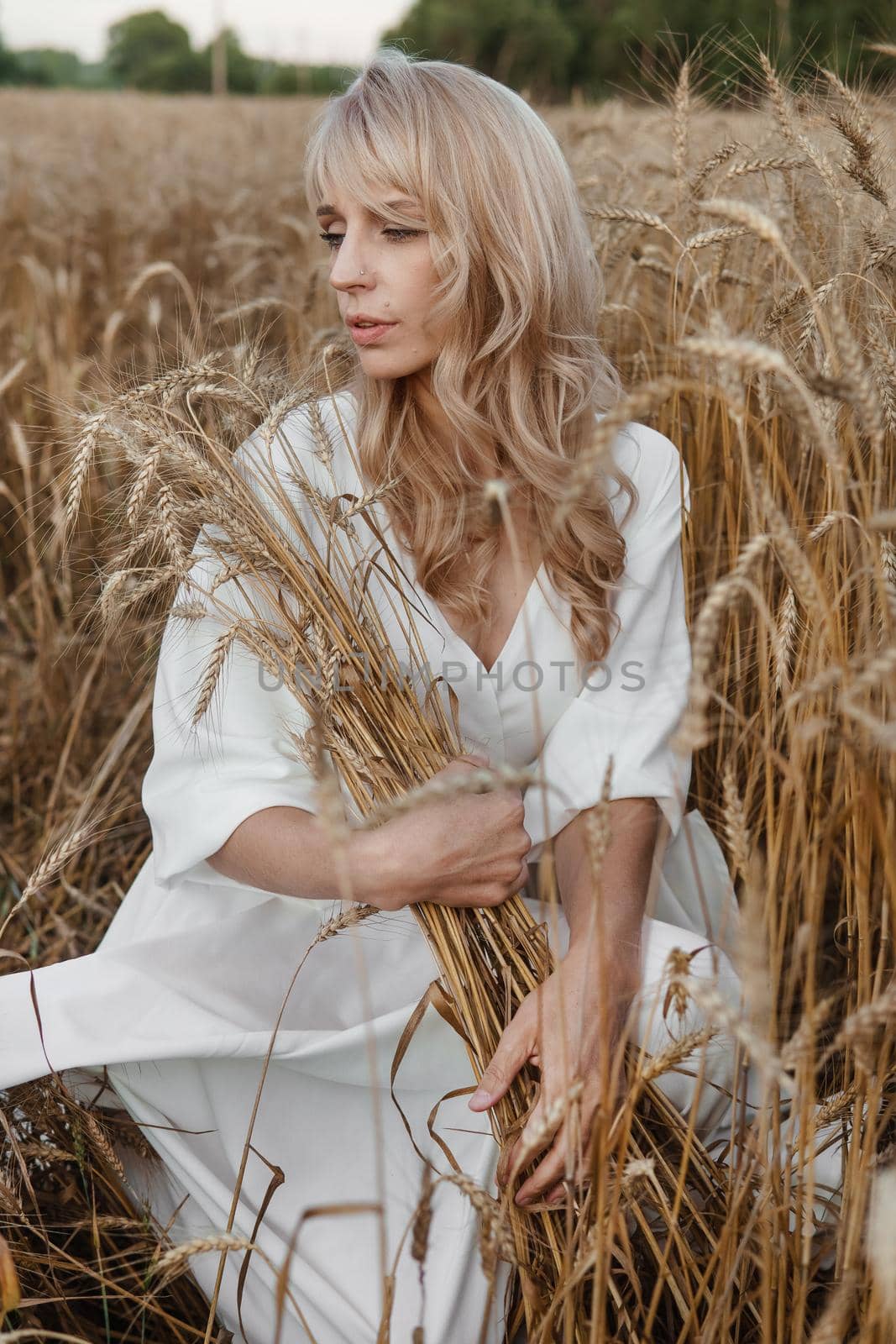 A blonde woman in a long white dress walks in a wheat field. The concept of a wedding and walking in nature.