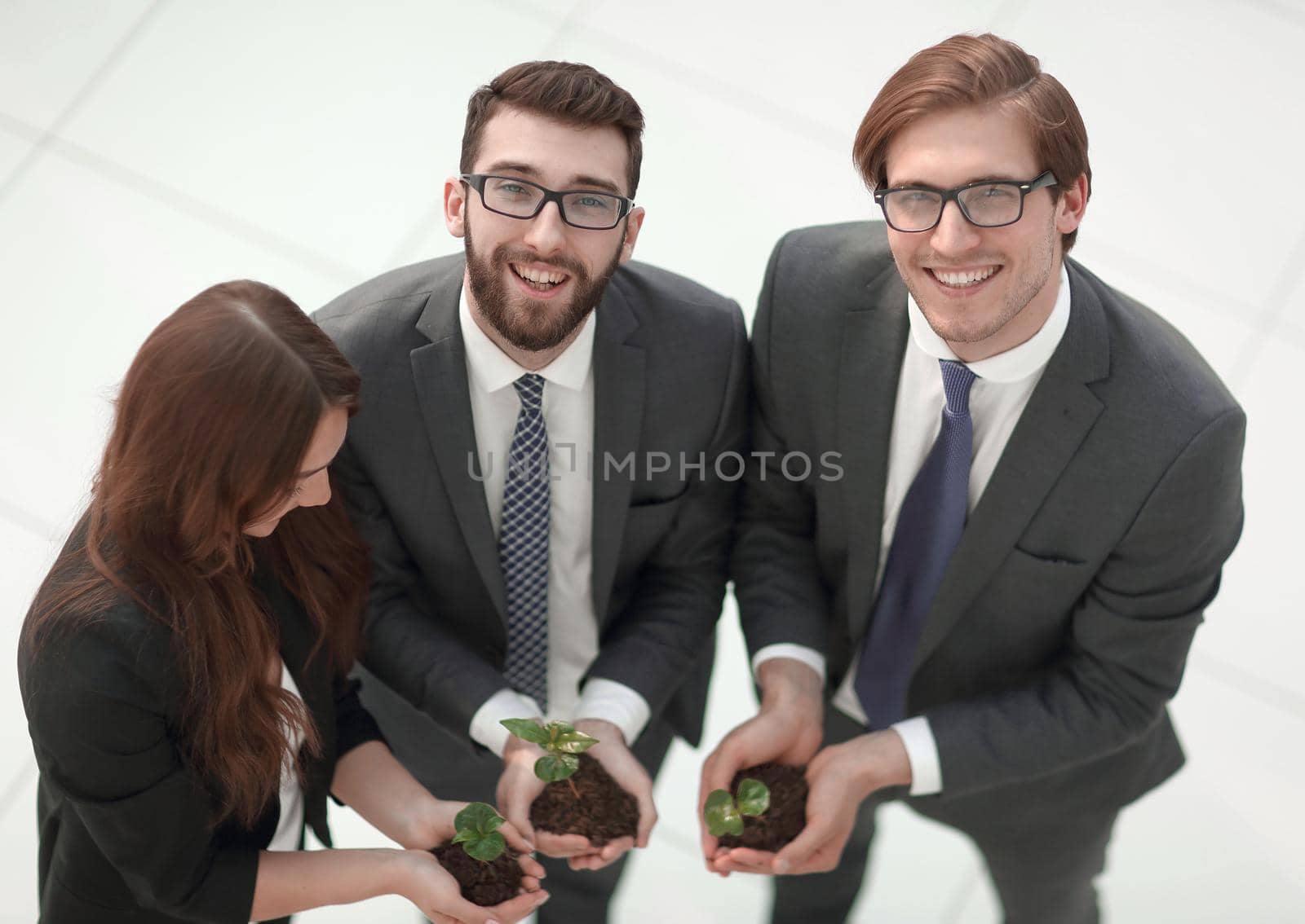 group of business environmentalists keeps green sprouts.eco-business concept