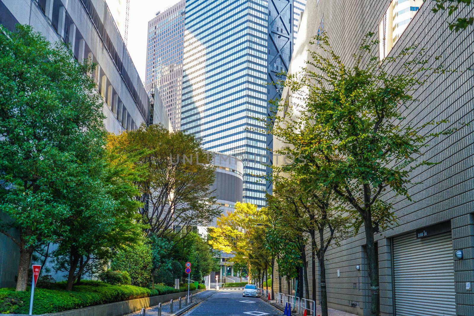 Building and autumn sky of Shinjuku. Shooting Location: Tokyo metropolitan area