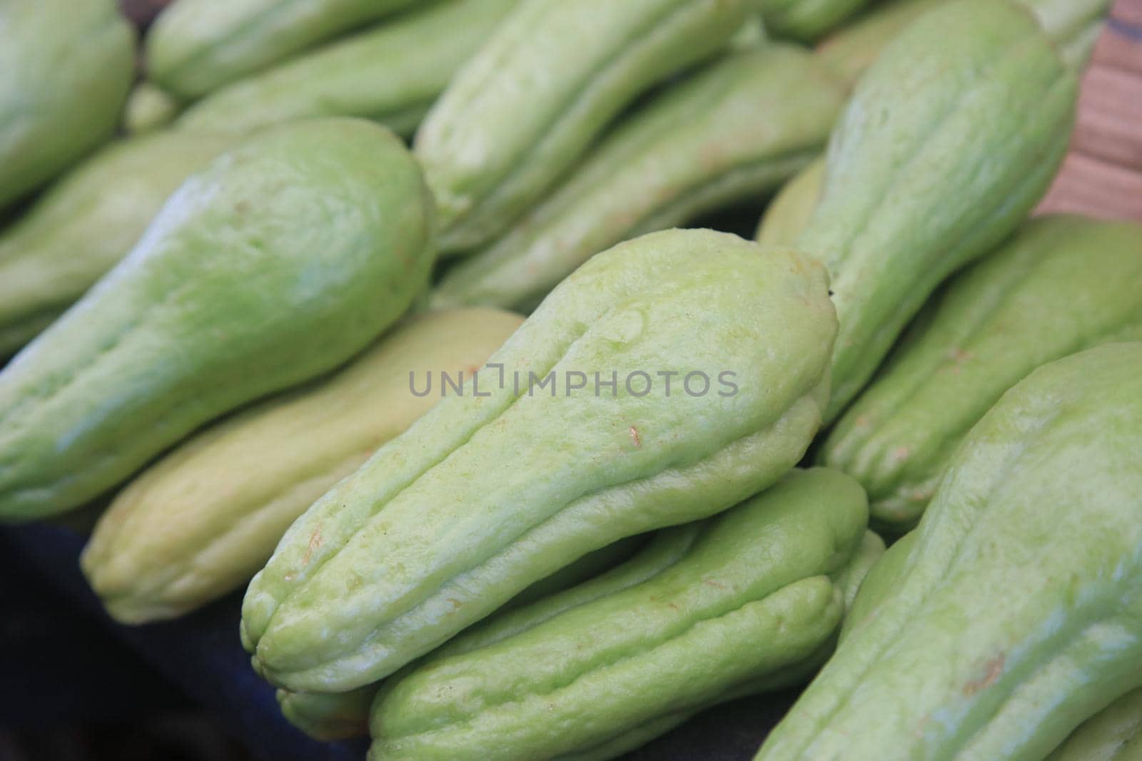 salvador, bahia, brazil - april 30, 2022: chayote for sale on display at a stall at the Sao Joaquim fair in the city of Salvador.