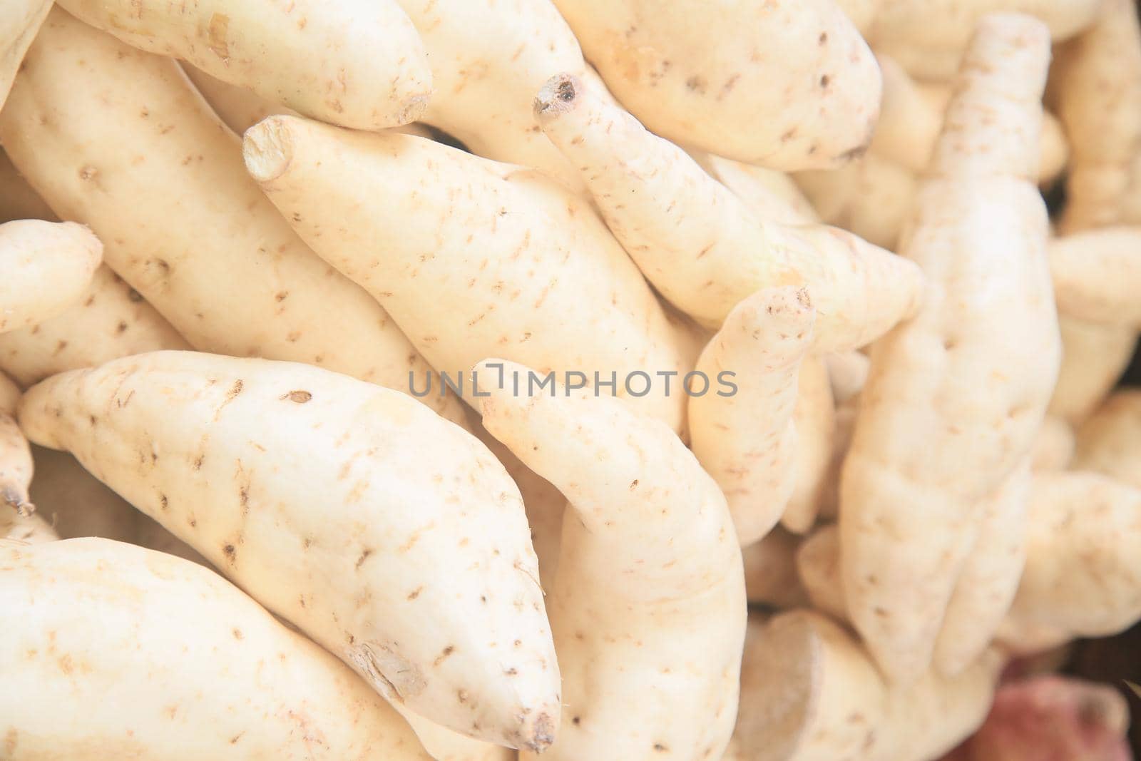 salvador, bahia, brazil - april 30, 2022: sweet potato for sale on display at a stall at the Sao Joaquim fair in the city of Salvador.
