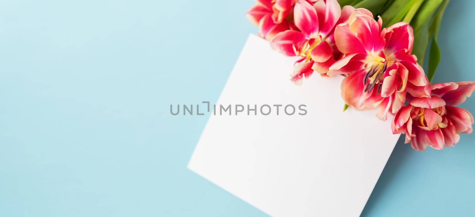 Very beautiful spring tulips on a paper background. Ready mokap, banner, place for the inscription