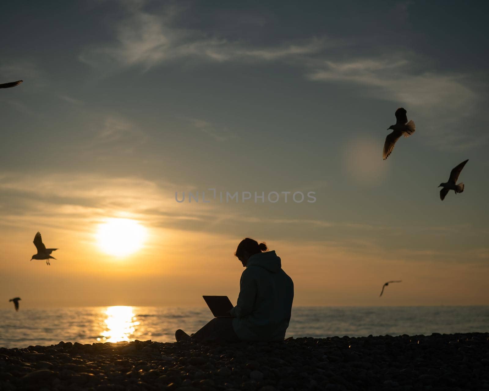 Caucasian woman typing on a laptop on the seashore. Girl freelancer works on the beach and seagulls fly at sunset