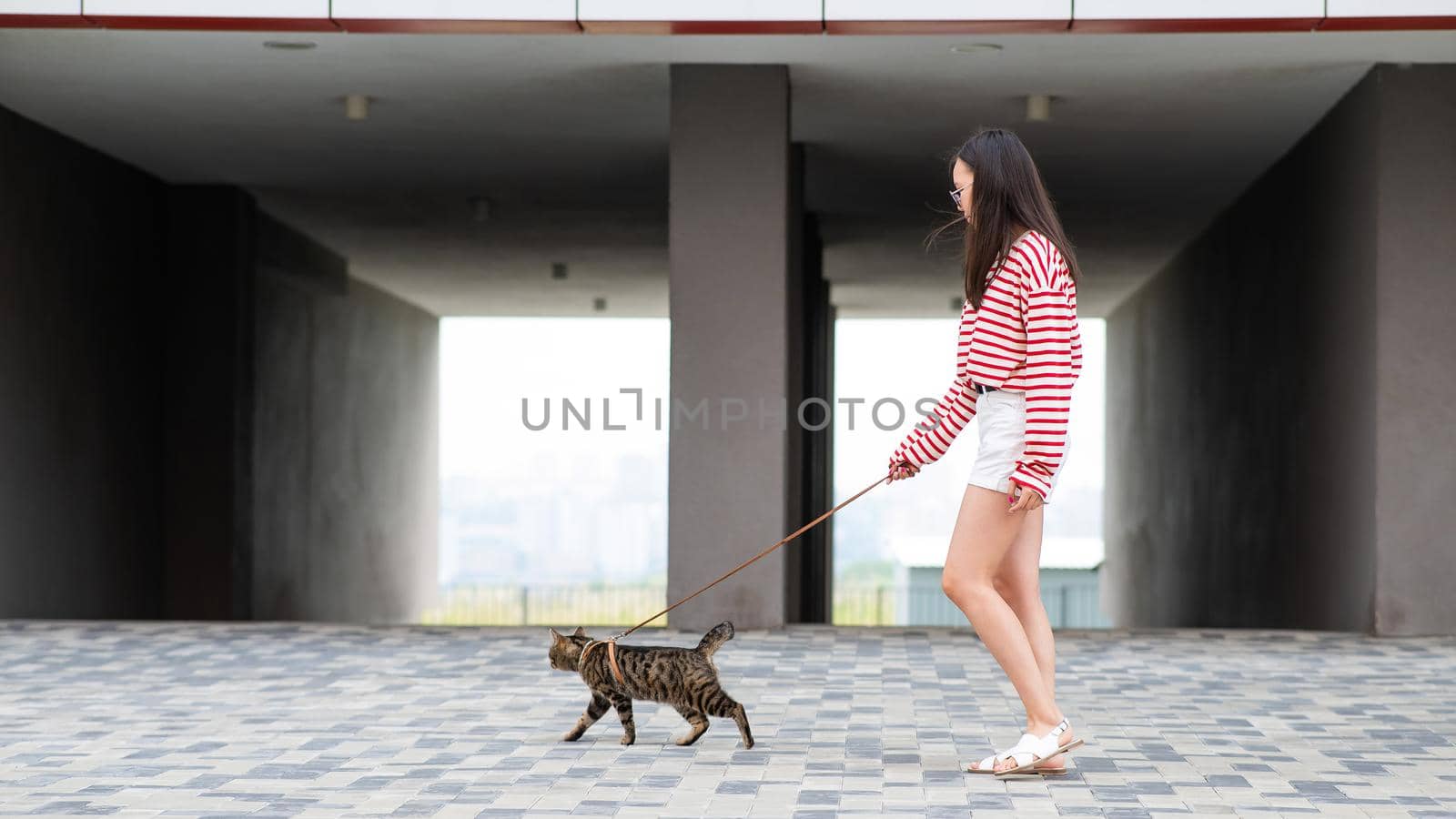 A gray striped cat pulls its owner by the leash while walking outdoors. by mrwed54