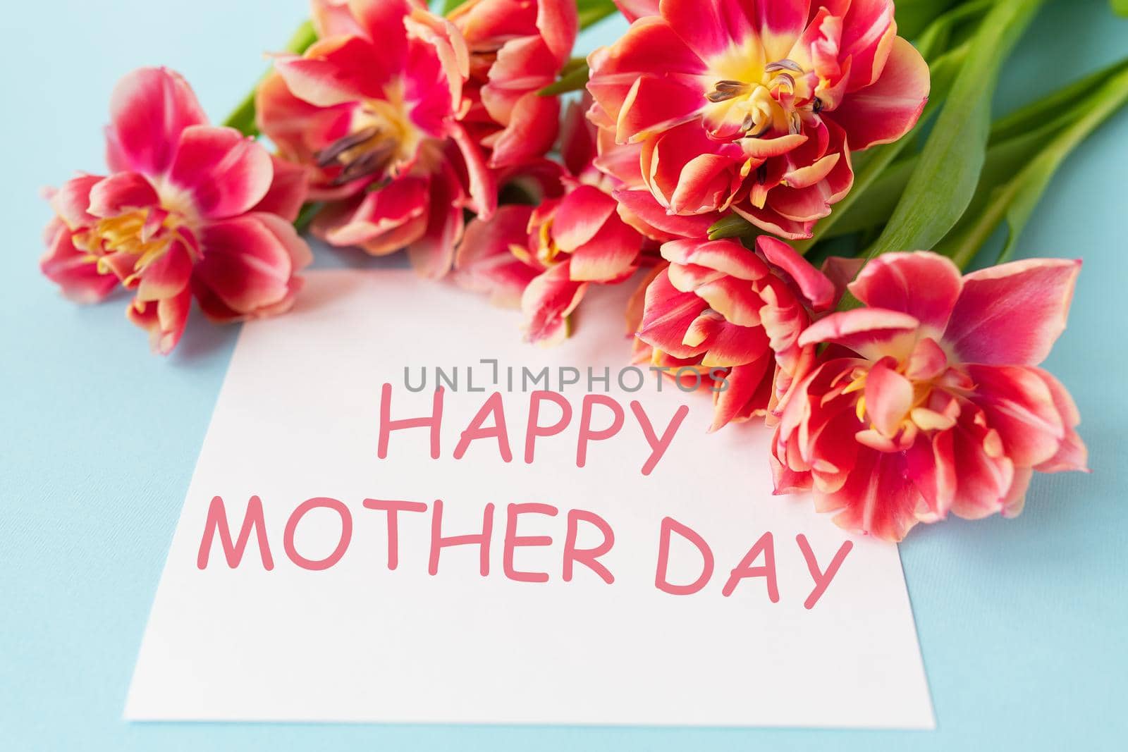 Very beautiful spring tulips on a blue paper background. Happy mother day lettering. by sfinks