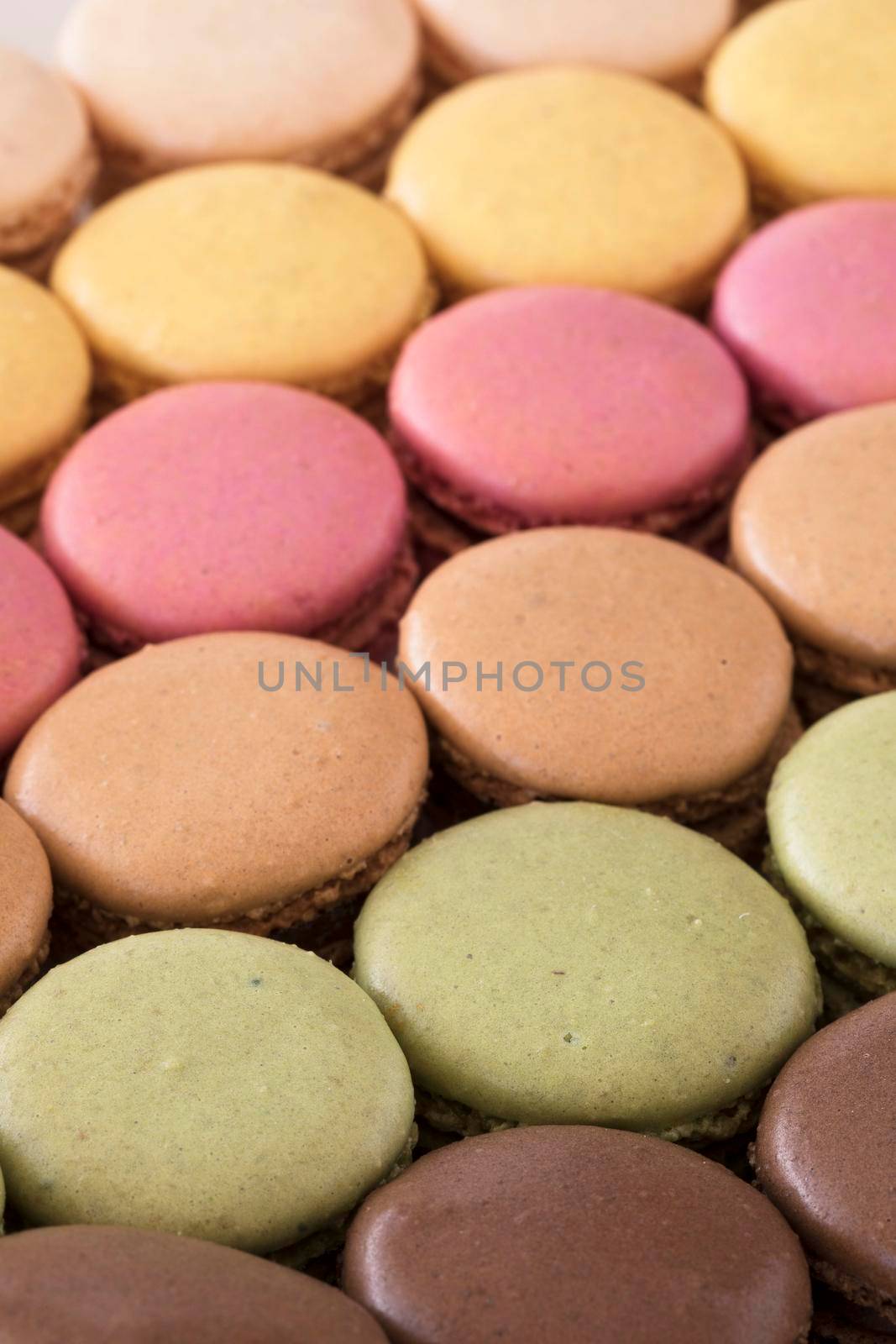 Close up Macaroons, Vertical by charlotteLake