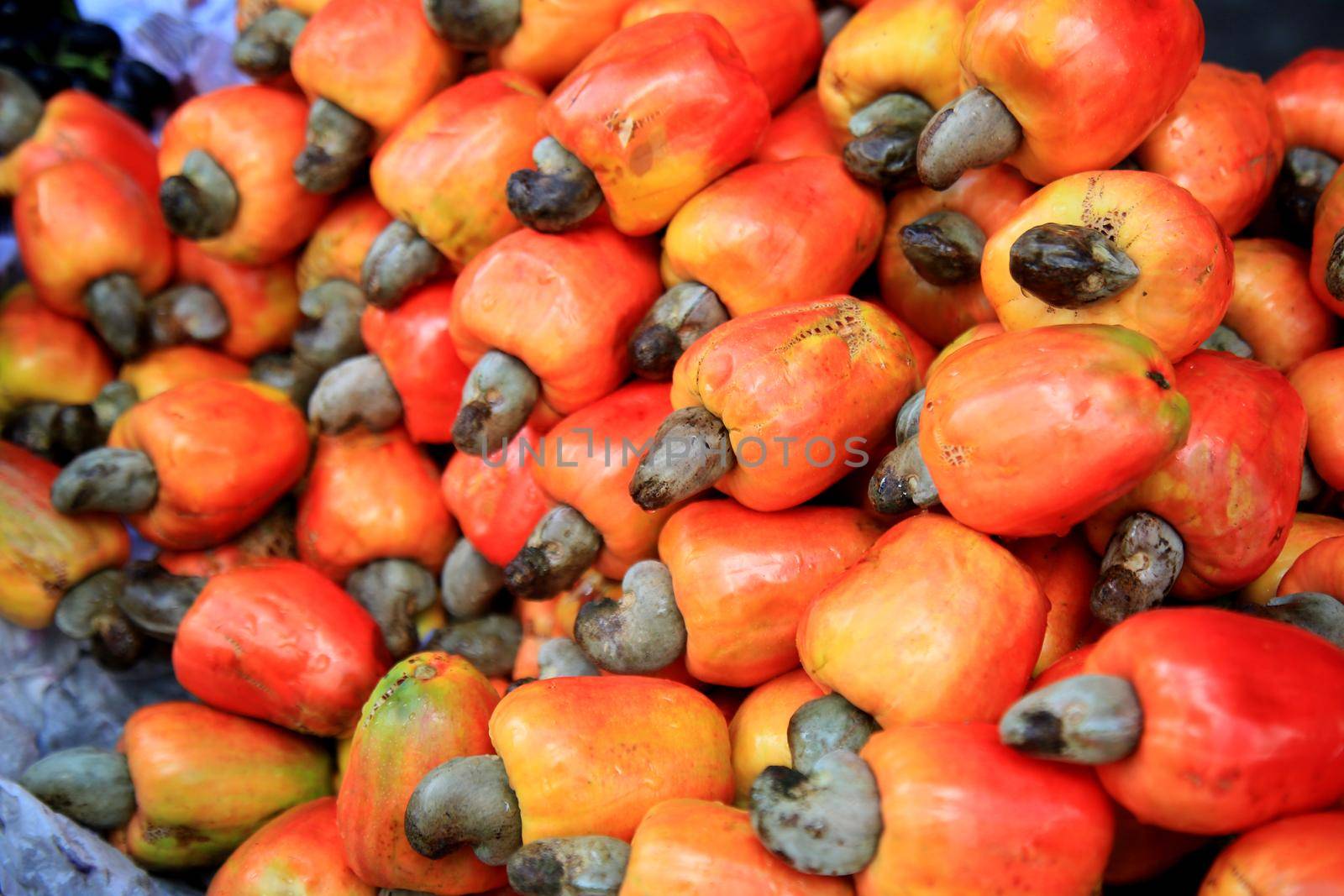 salvador, bahia, brazil - august 17, 2021: cashew fruits for sale in a fair in the city of Salvador.