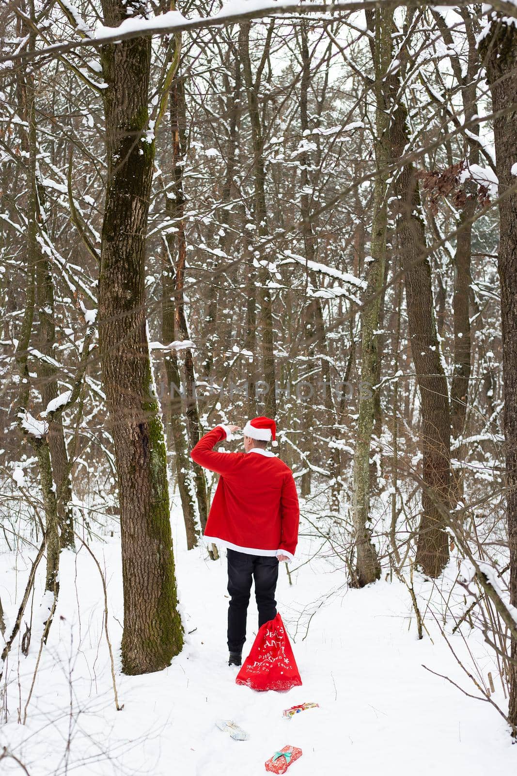 Traditional Santa Claus wearing a hat and dragging a big red sack with gifts through the forest