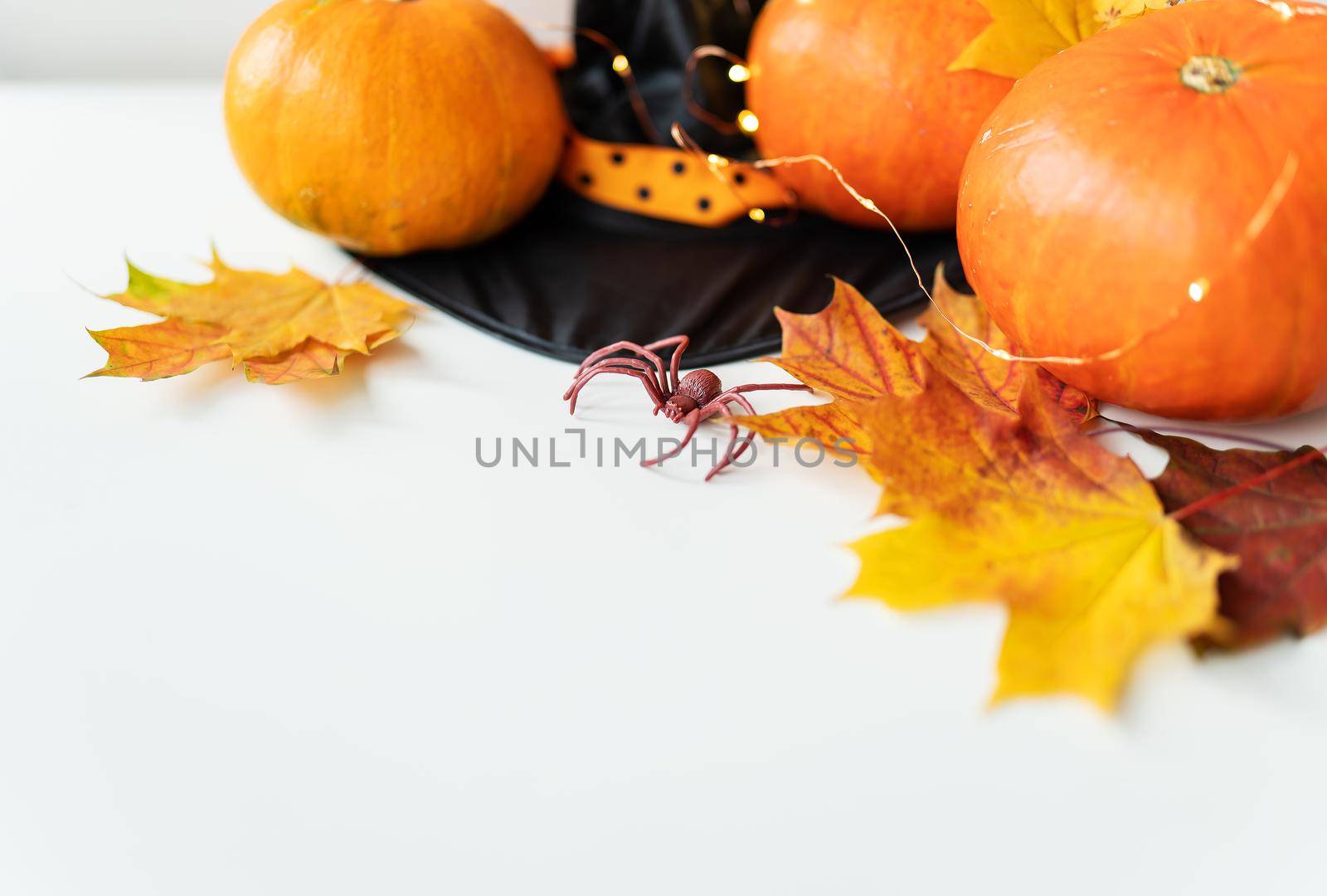 Autumn leaves with pumpkin border at the bottom, black hat, beautiful autumn background. Flashing lights on the background, beautiful bokeh. by sfinks