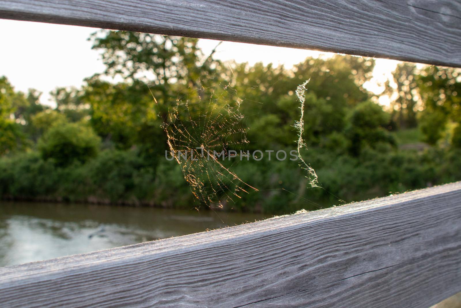 Spider web on wooden bridge between the rails. High quality photo