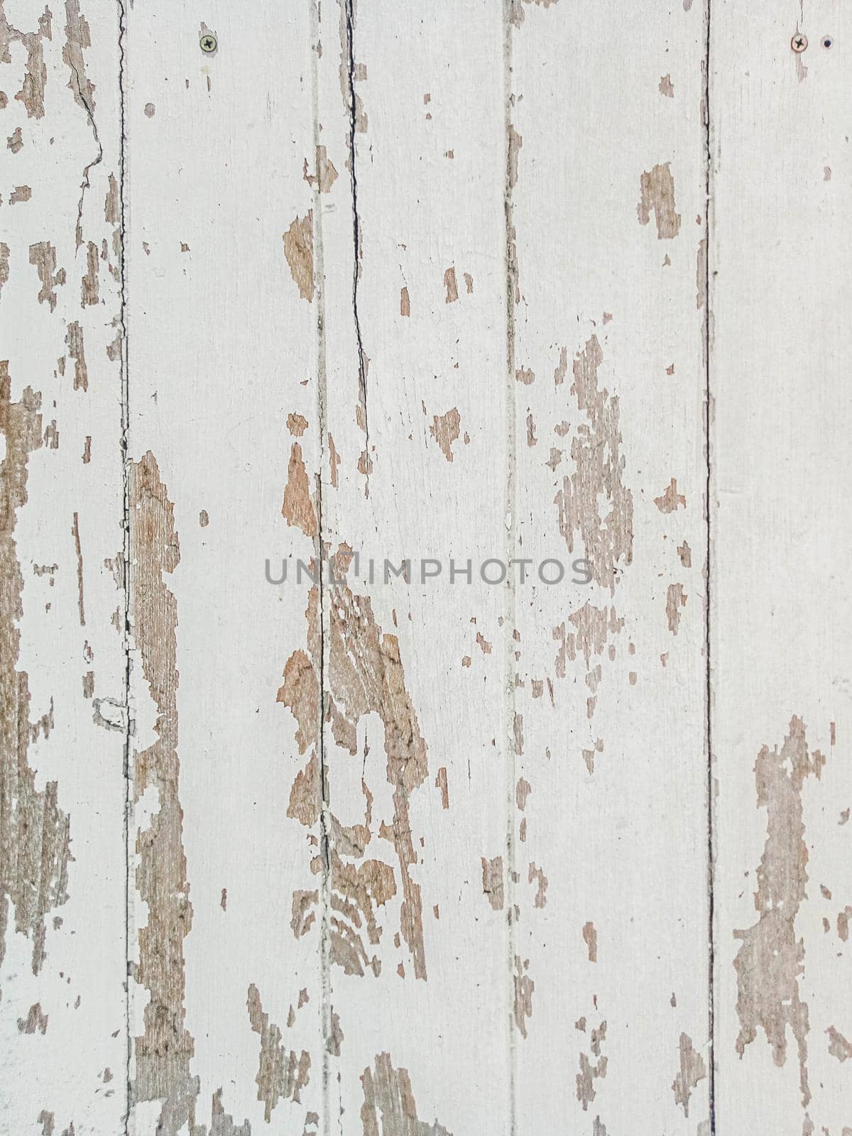 White rustic wood texture background. White wooden boards interior furniture material construction decoration.