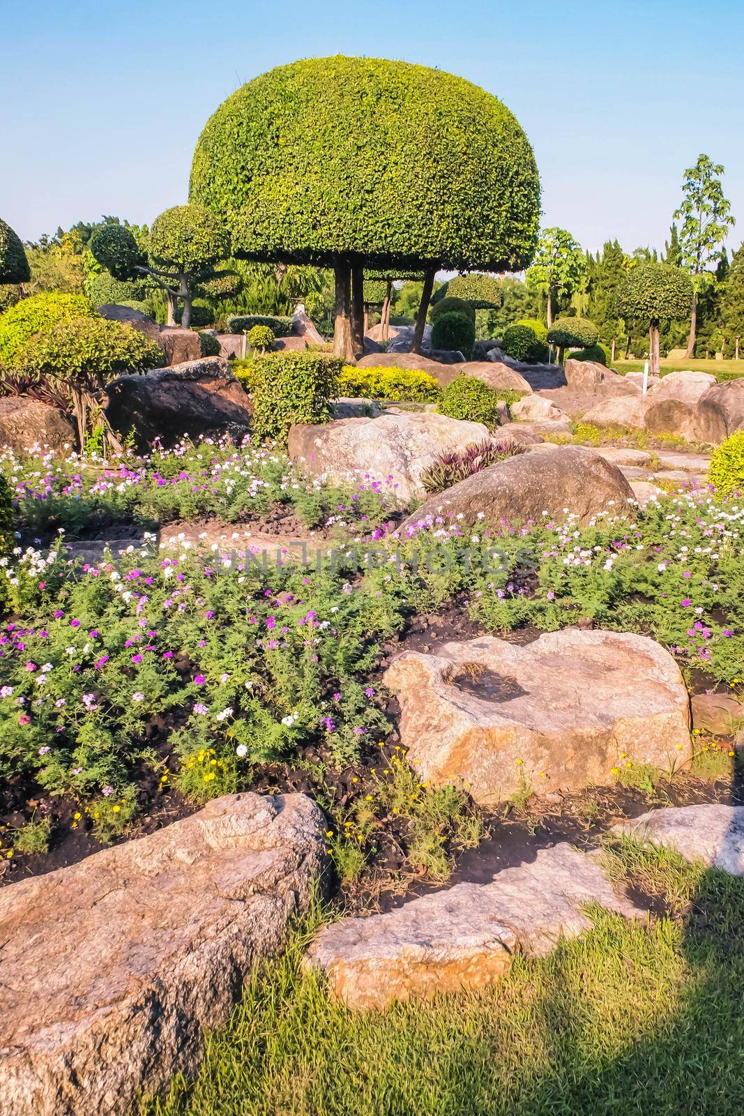 Picturesque Japanese garden.Chinese japanese garden topiary dcoration design shrub form.