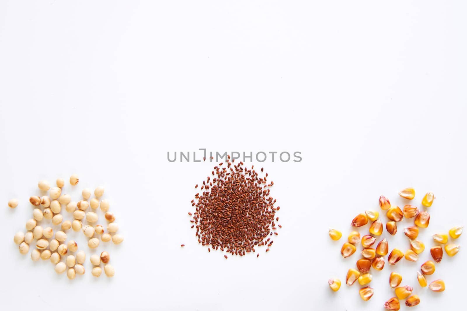 Flat lay microgreen seeds on white background.