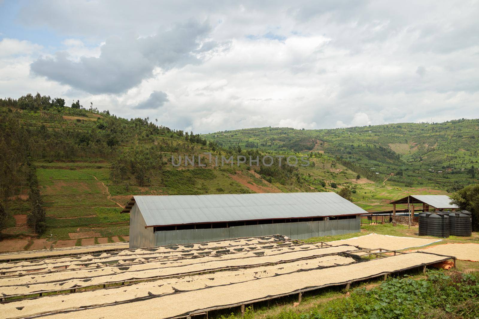 Drying racks with coffee beans and warehouse on the coffee farm, Rwanda region