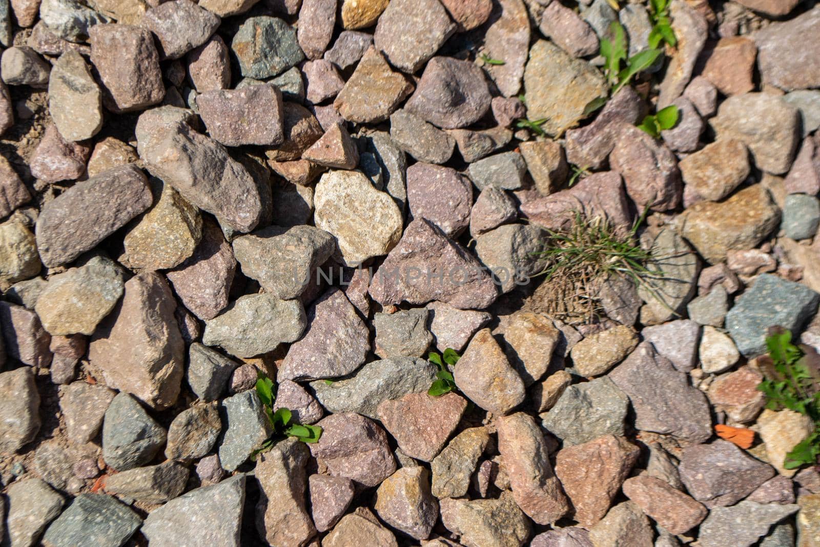 wild green grass grows through grey color of the crushed granite and limestone coarse gravel foreground closeup. High quality photo