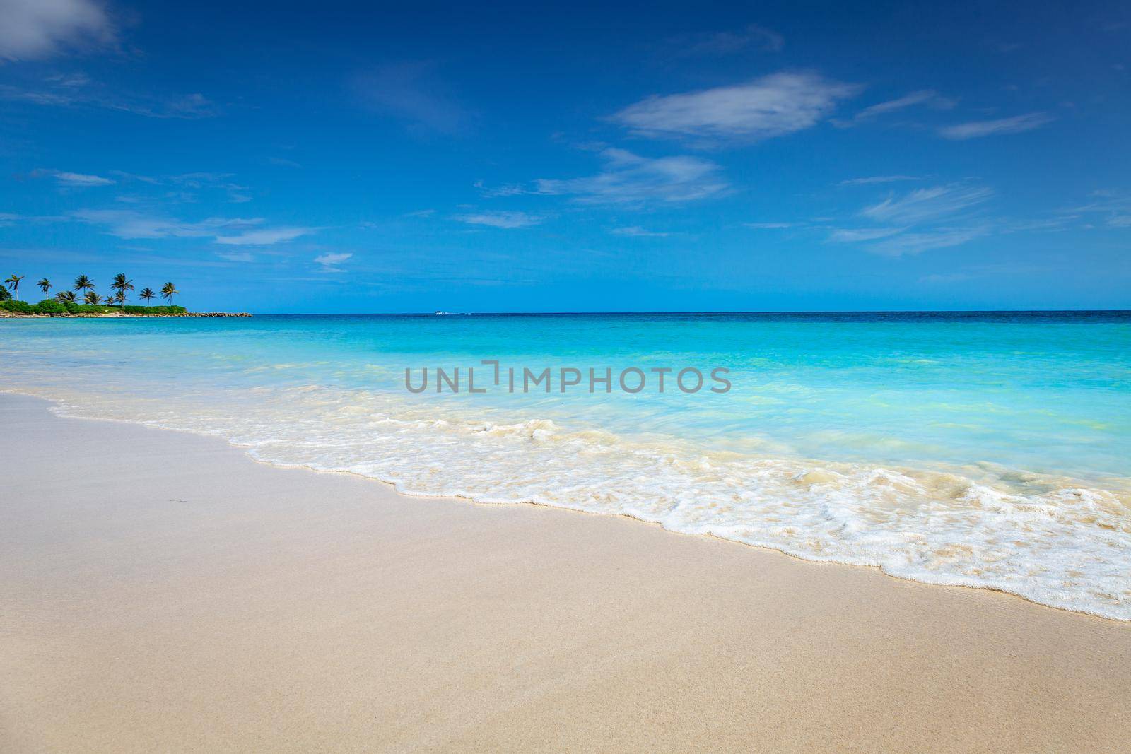 Tropical paradise: idyllic caribbean beach with single palm tree, Montego Bay, Jamaica
