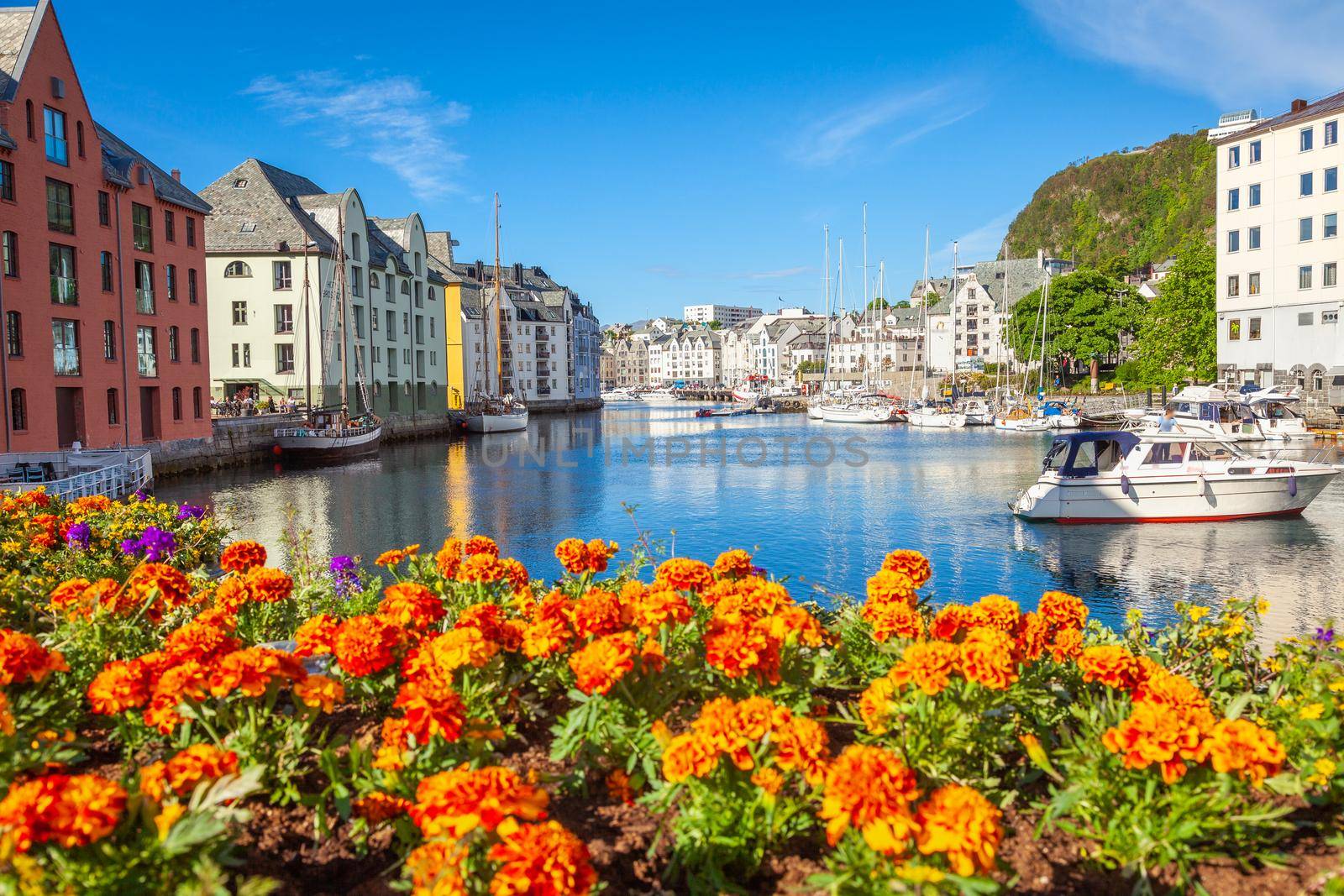 Alesund Sea port harbor with springtime flowers at peaceful dawn, Norway, Scandinavia