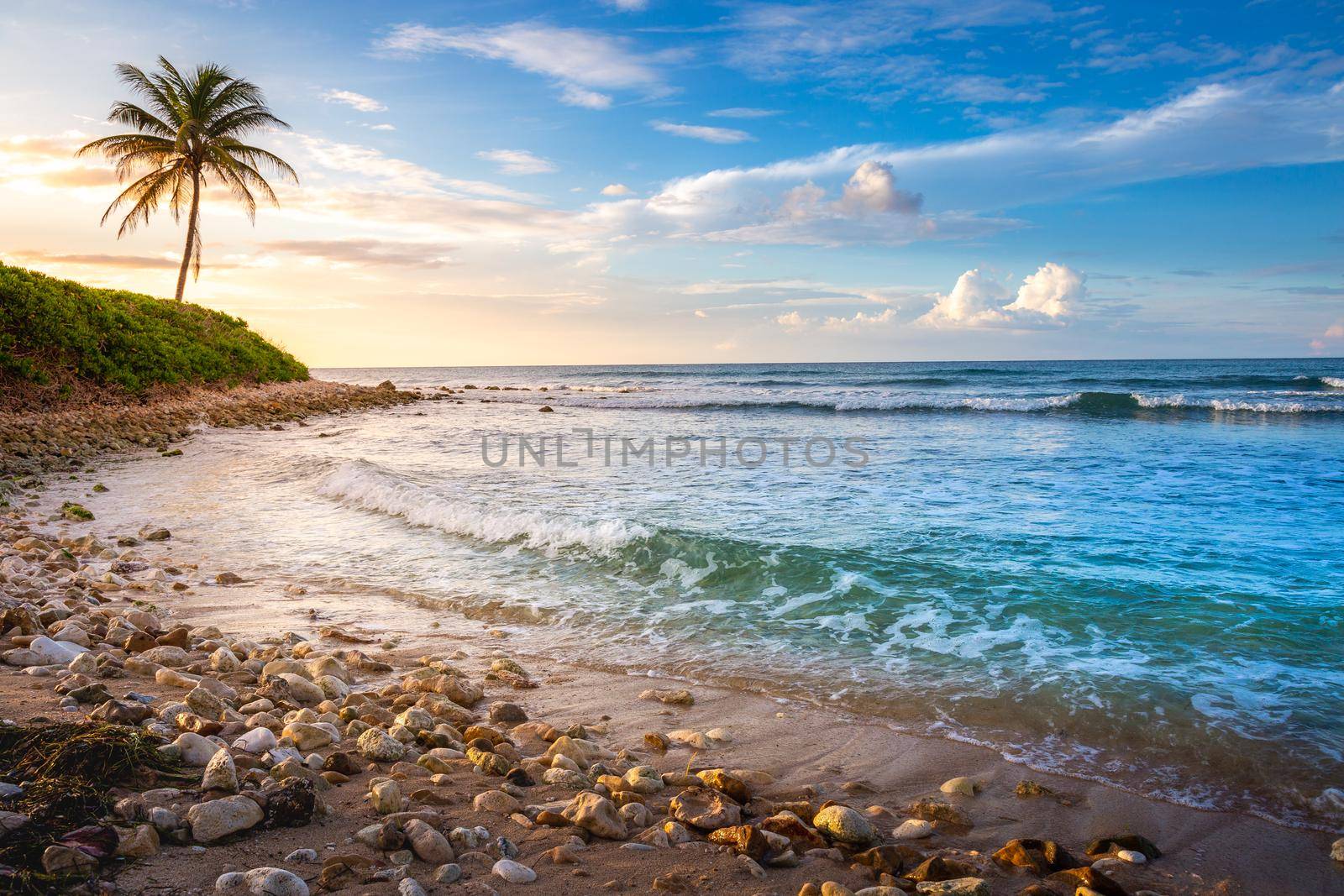 Tropical paradise: idyllic caribbean beach with single palm tree, Montego Bay, Jamaica