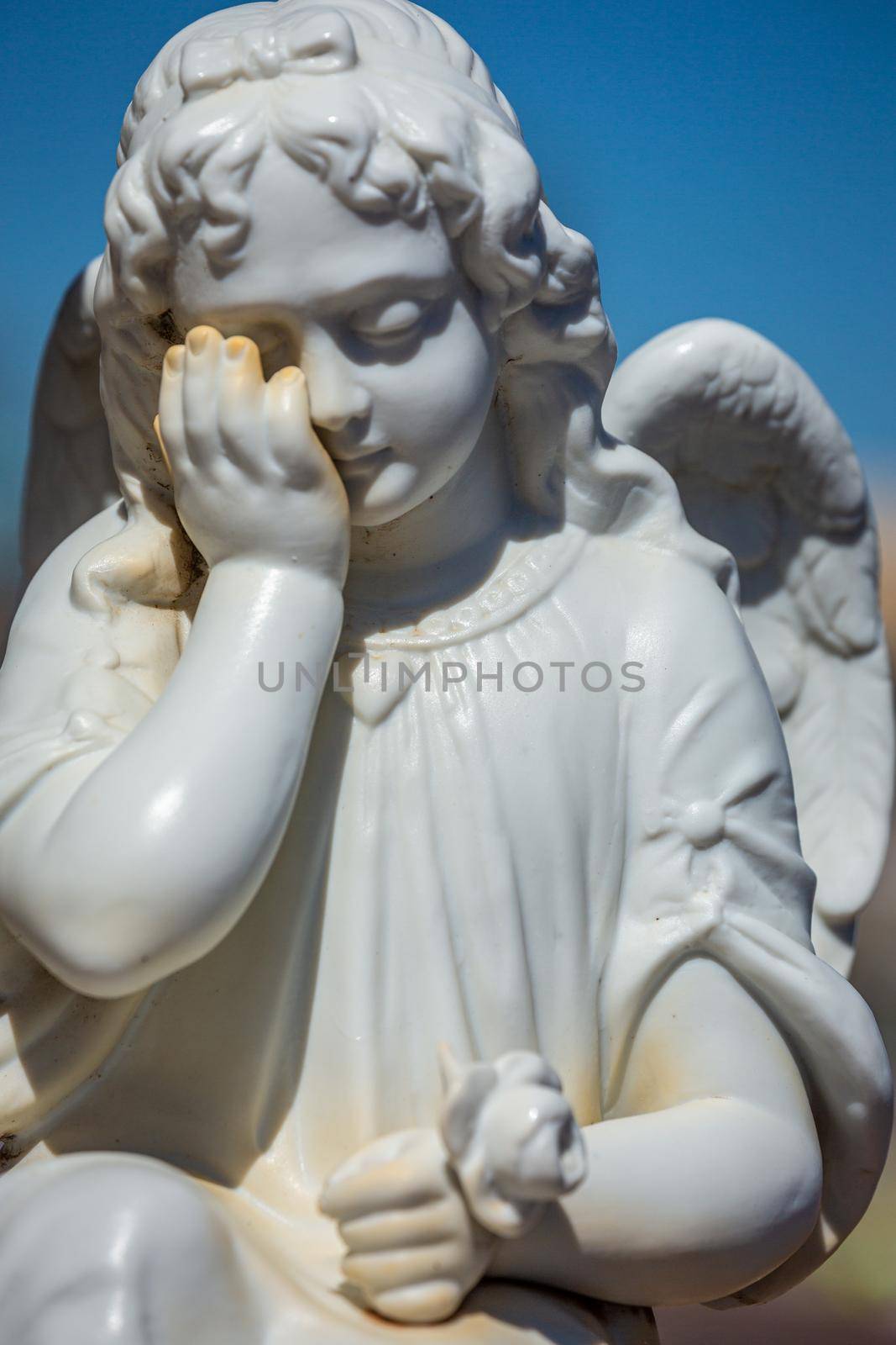 Seraphim angel praying with flower for forgiveness and hope of better days to come