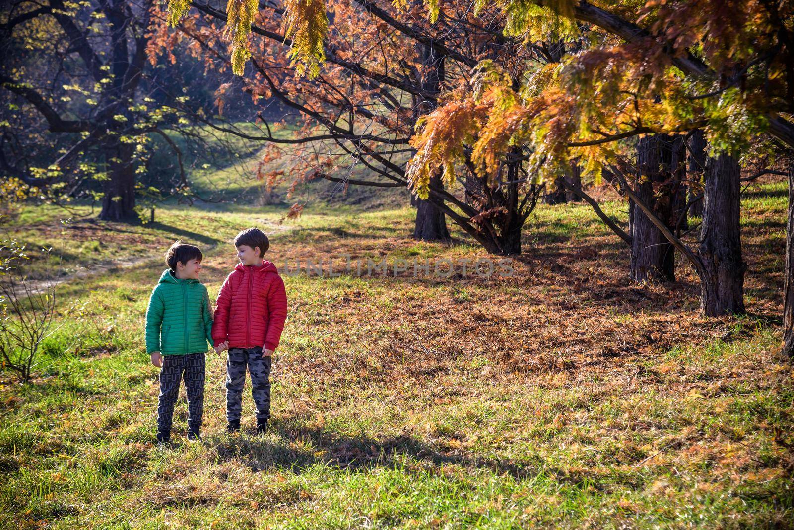 Two boys are running in the autumn forest. Two sibling brother boys are best friends spend time together on nature. Rest outdoors and friendship concept.