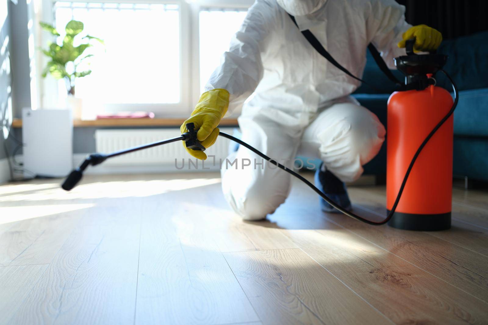 isinfection of premises from insects and rodents with chemicals. Plumber spray on the background of apartment and pest control